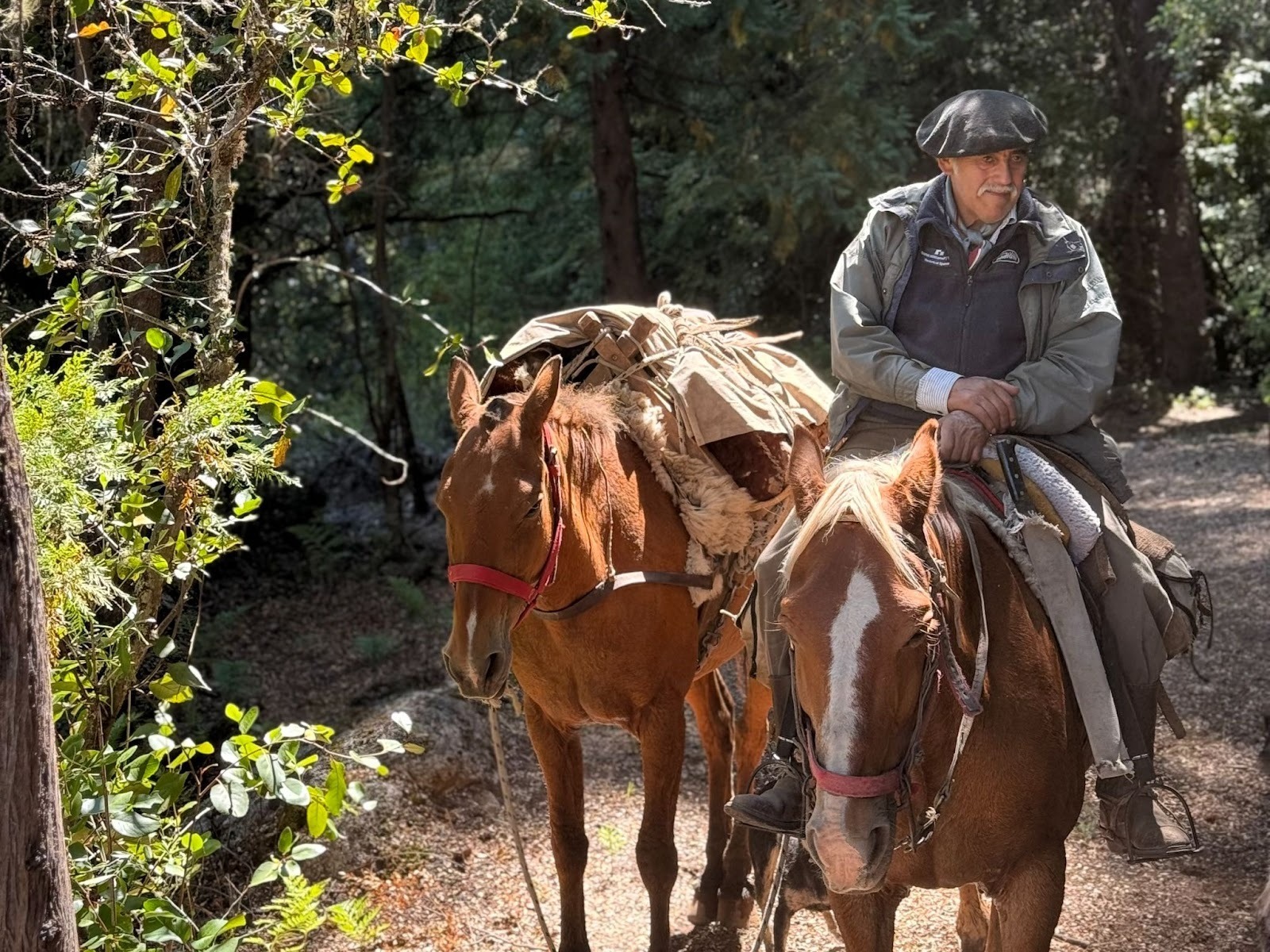Gauchos on horseback leading a packhorse through a green forest