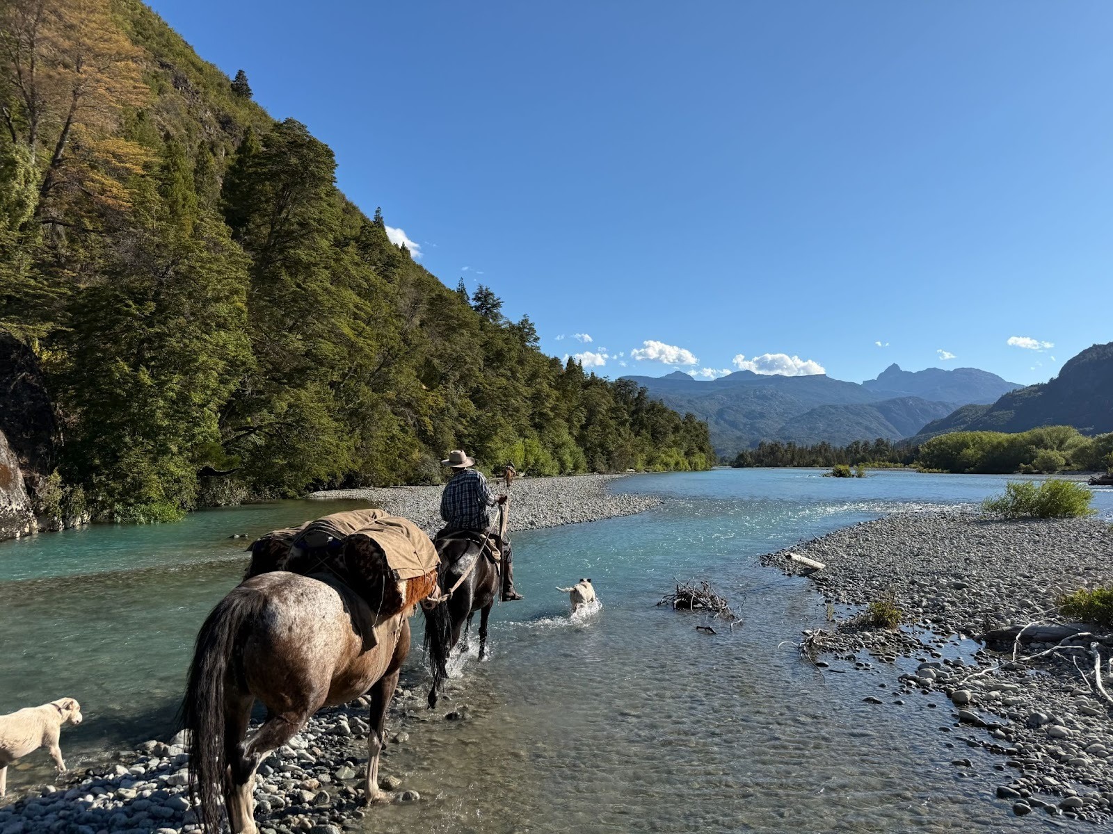 Gaucho on horseback leading pack horse through bright blue river on a sunny day in the mountains