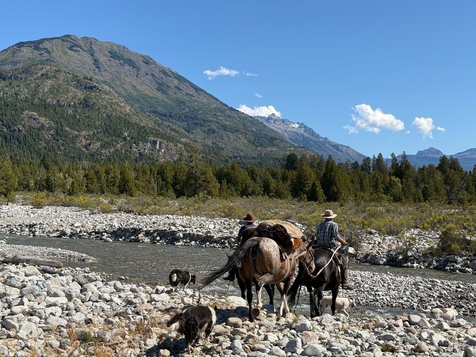 Gaucho on horseback leading a packhorse through a creek in the mountains with a forest in the background on a sunny day