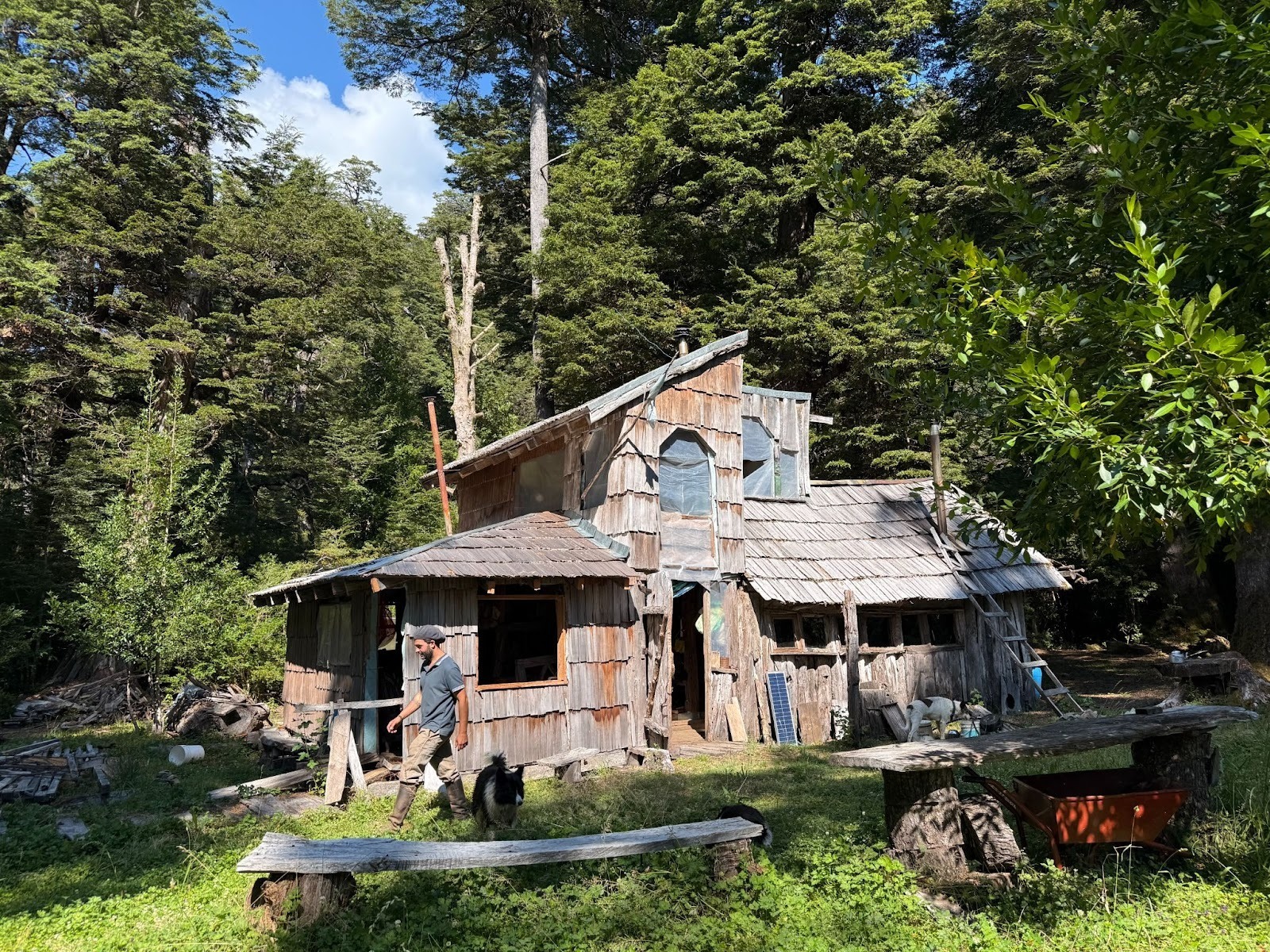 Cabin built by gauchos in the middle of the forest