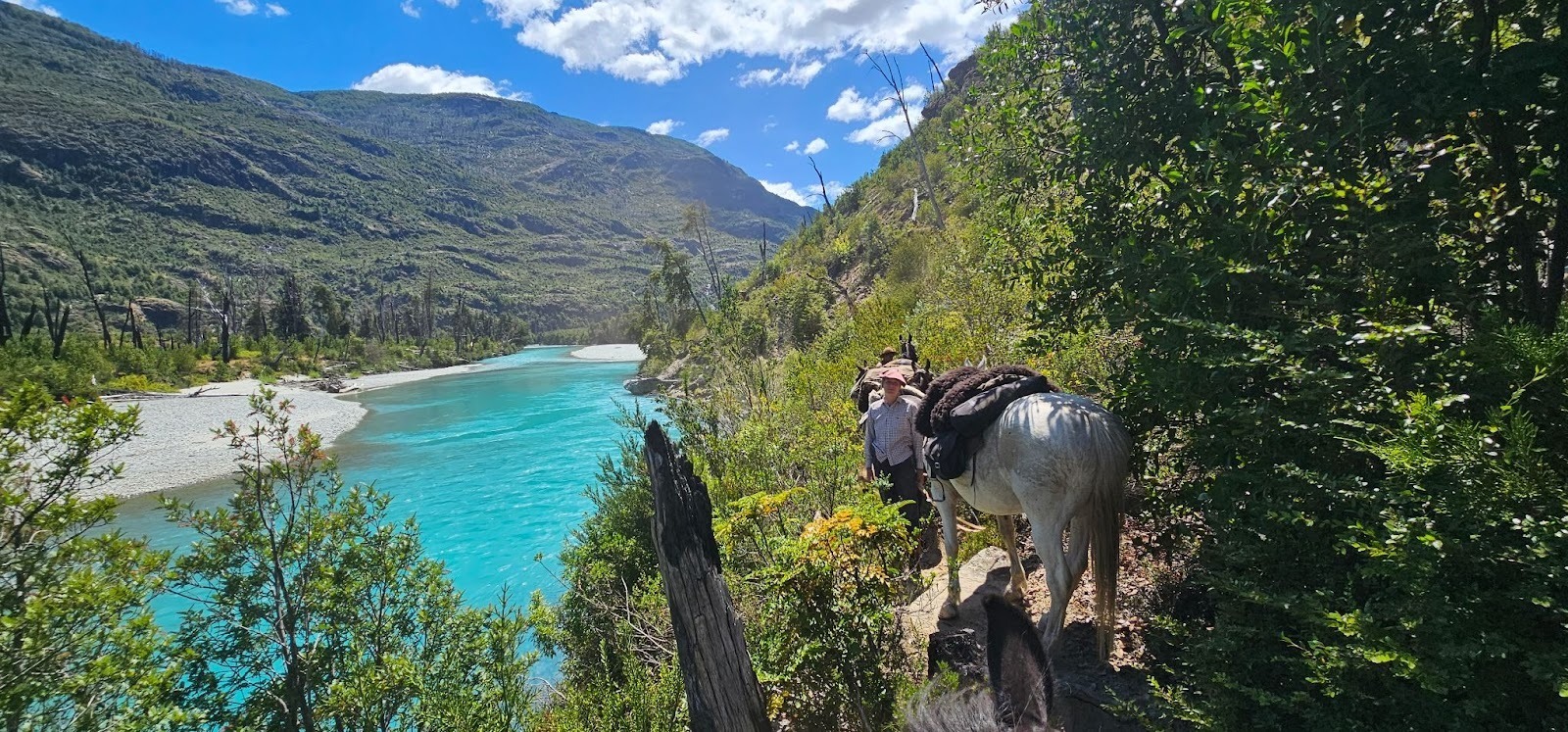 Riders with horses stopped on a narrow mountain trail next to a bright blue river, with a view on the mountains