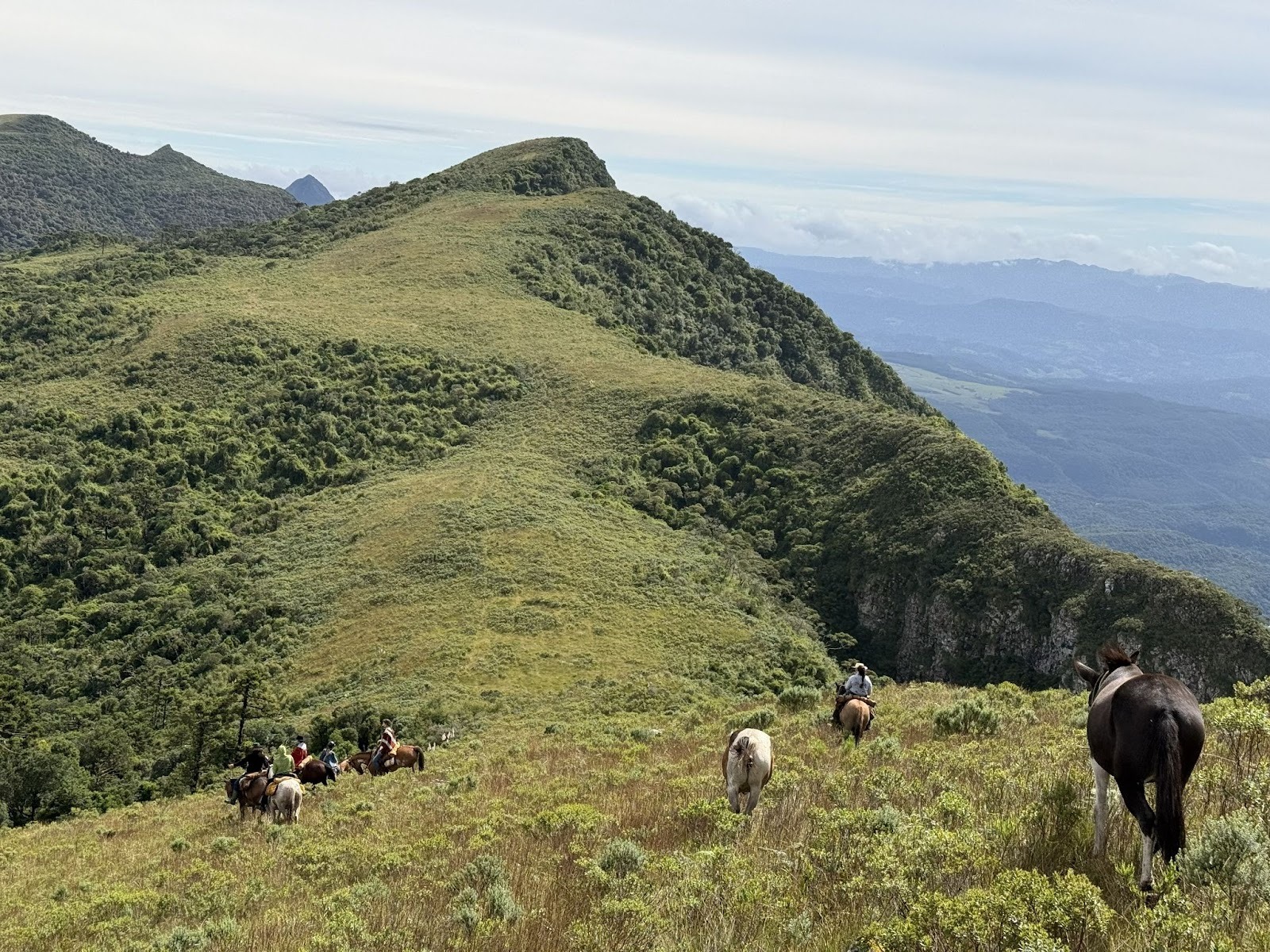 Horses and mules with riders walking along a green mountain top on a cloudy day