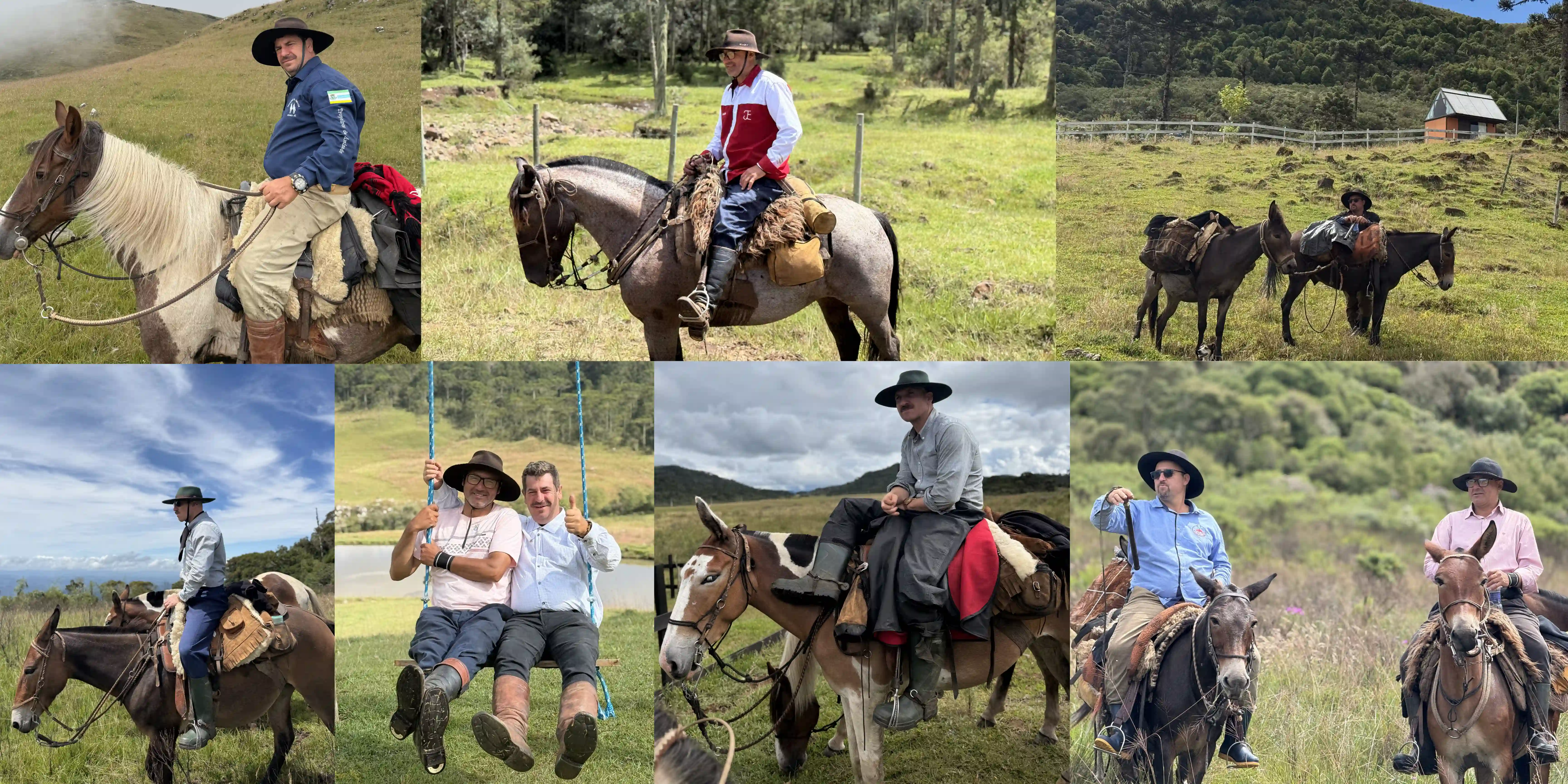 Collage of gauchos on horseback and mules riding through green fields 