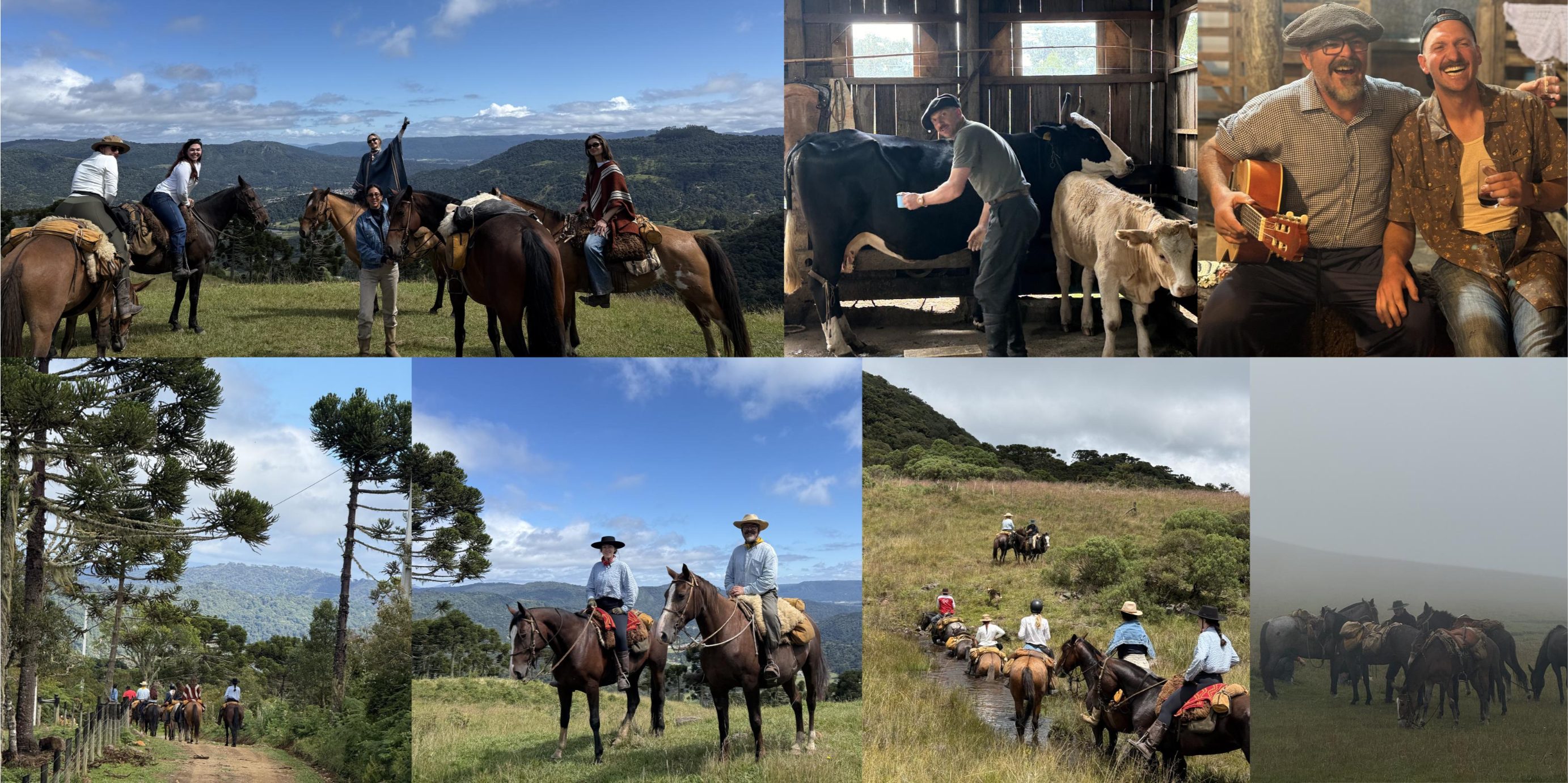 Collage of photos of a group of riders and horses on horse riding holiday