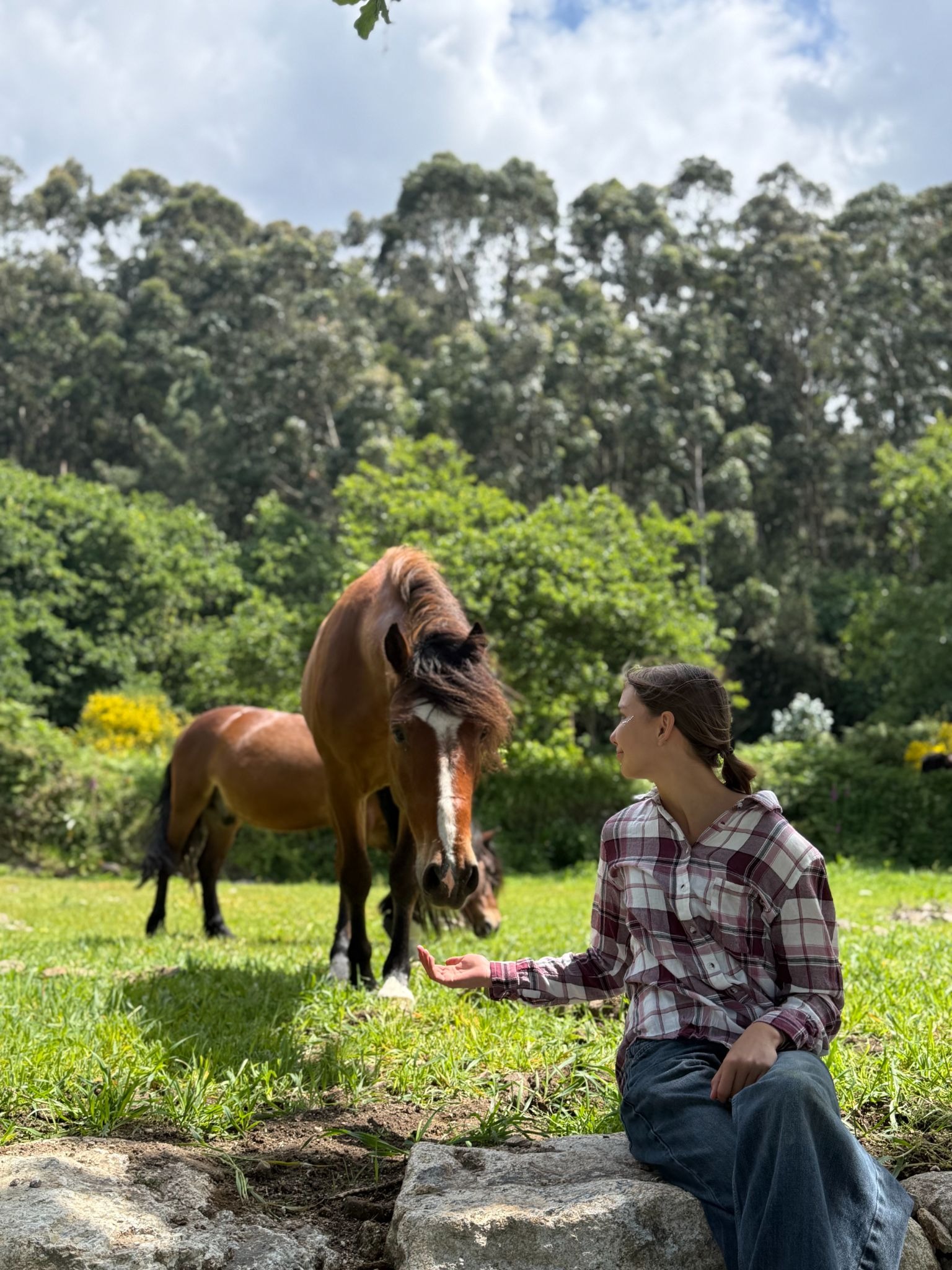 Woman sitting on rocks by a horse pasture while a horse walks up to her and another horse grazes on the green grass, in the background you can see shrubs and tall trees and clouds in the sky