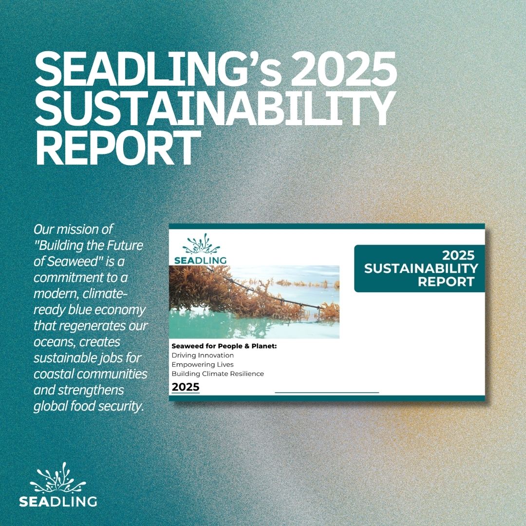 seaweed news