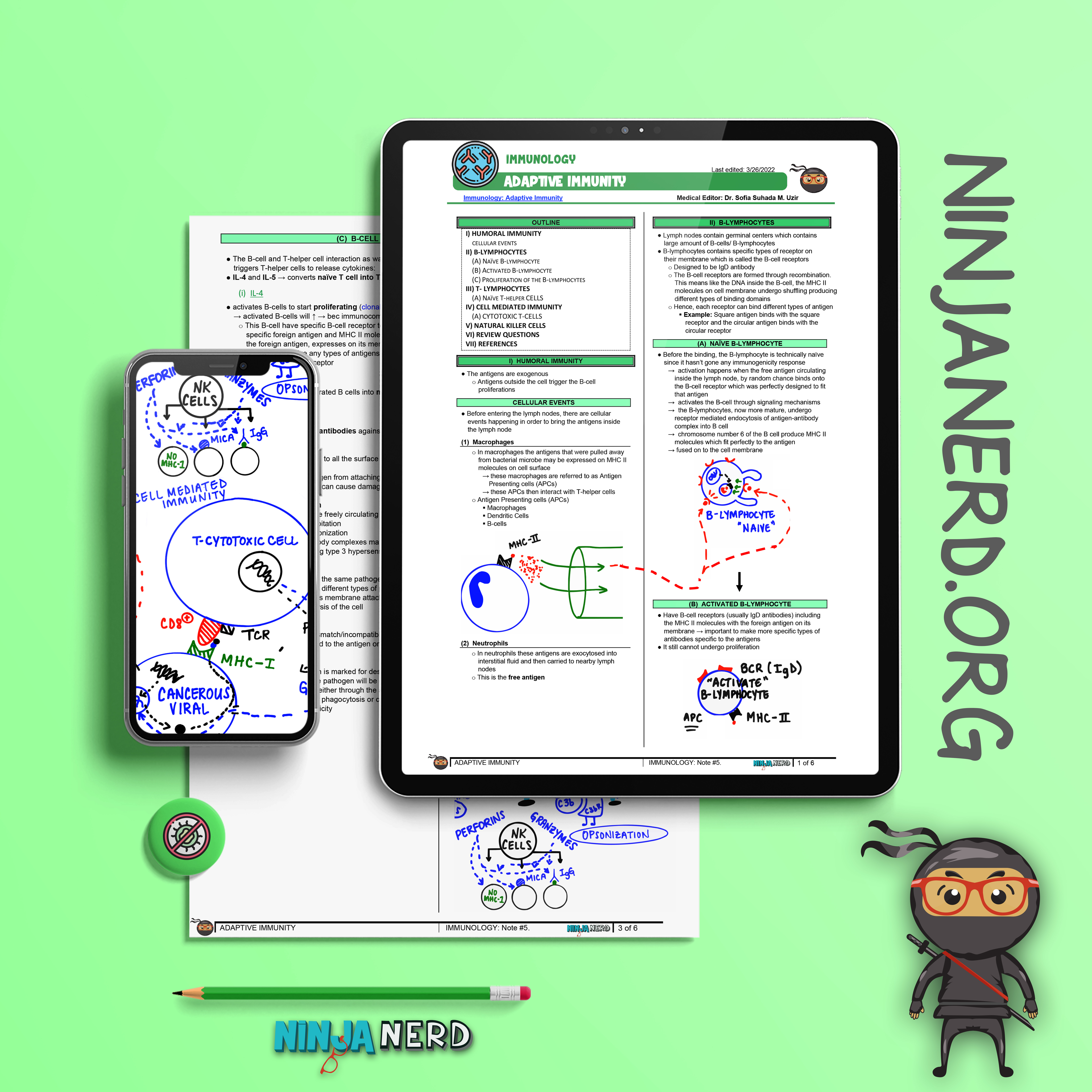 Adaptive Immunity