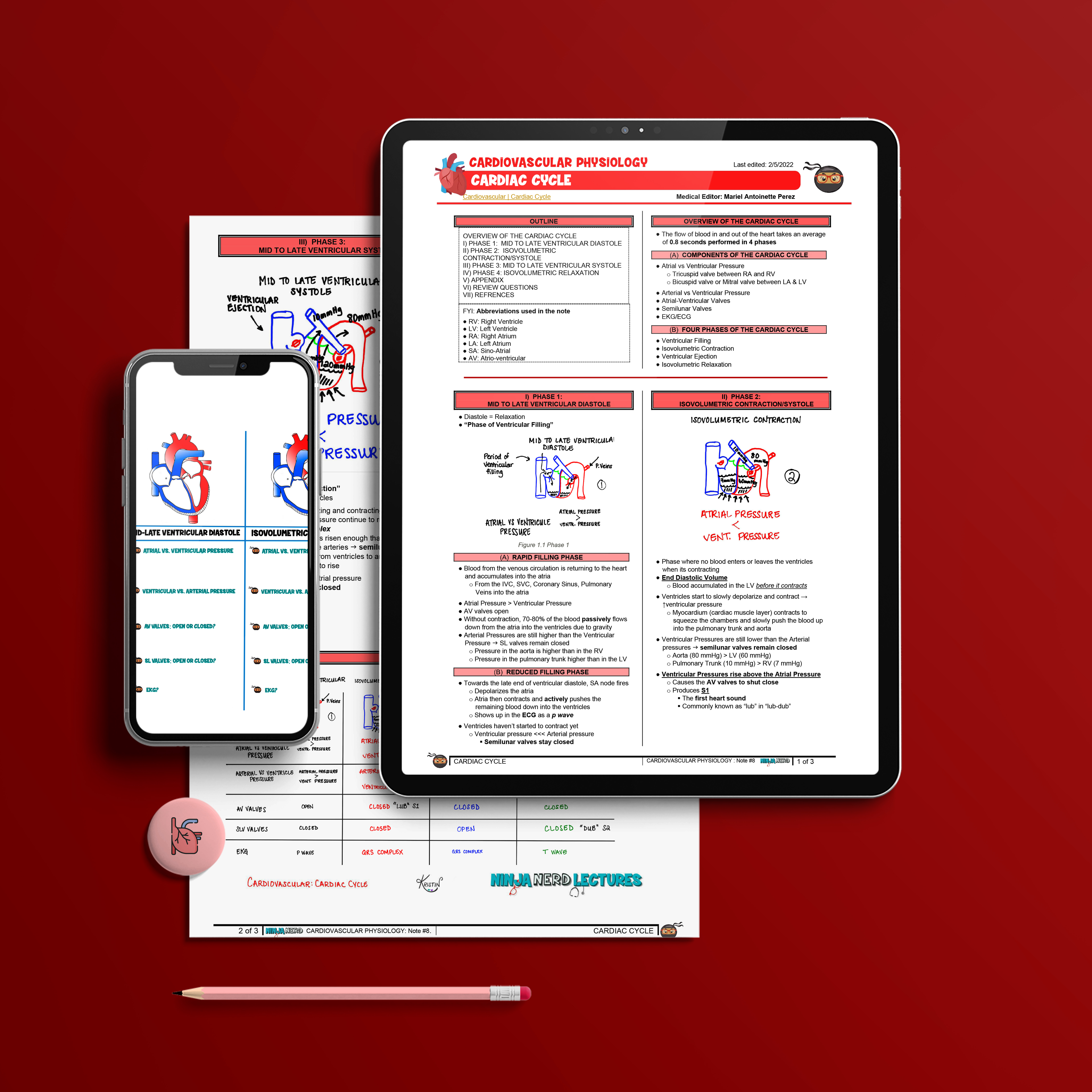 Cardiac Cycle: Digital Version