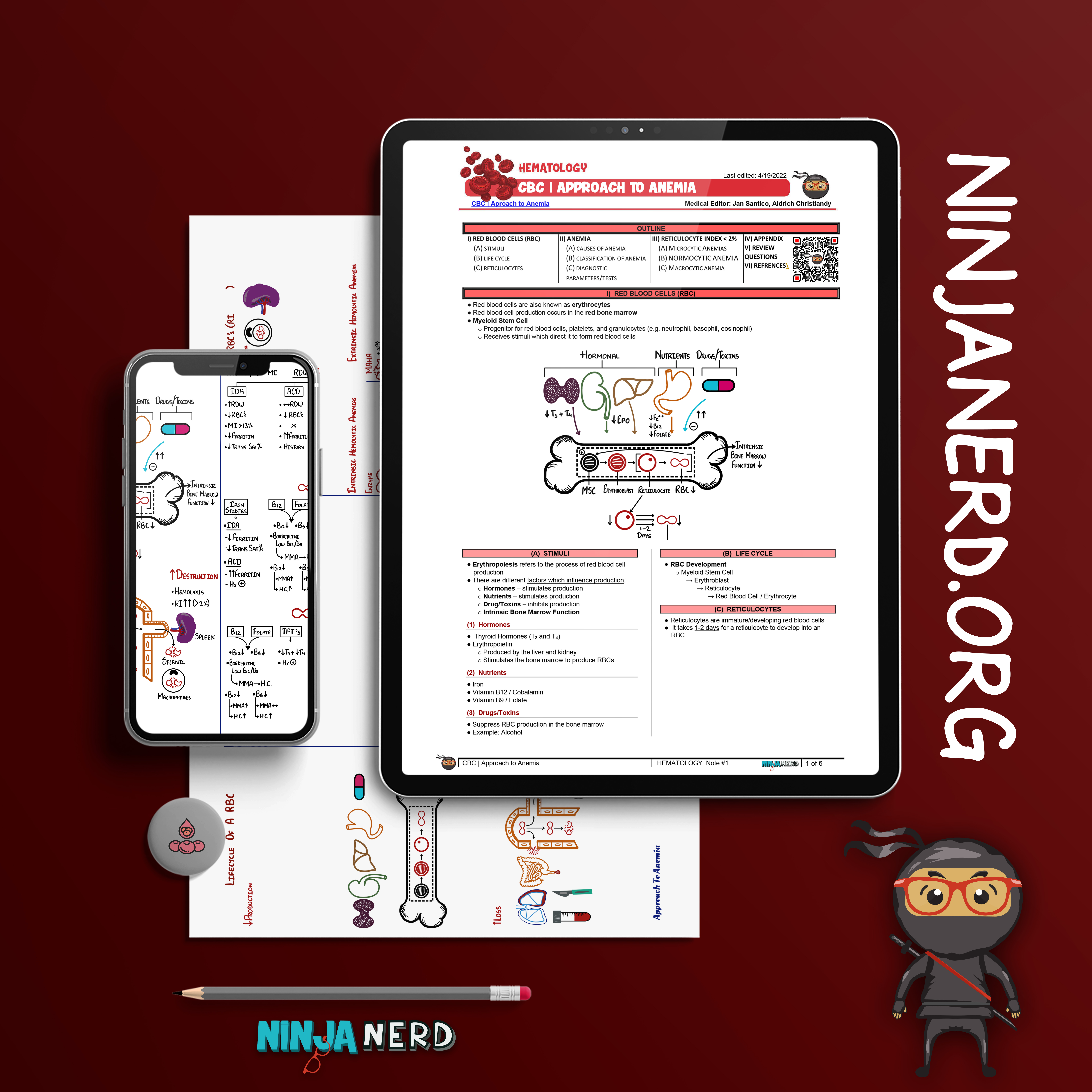CBC | Approach to Anemia