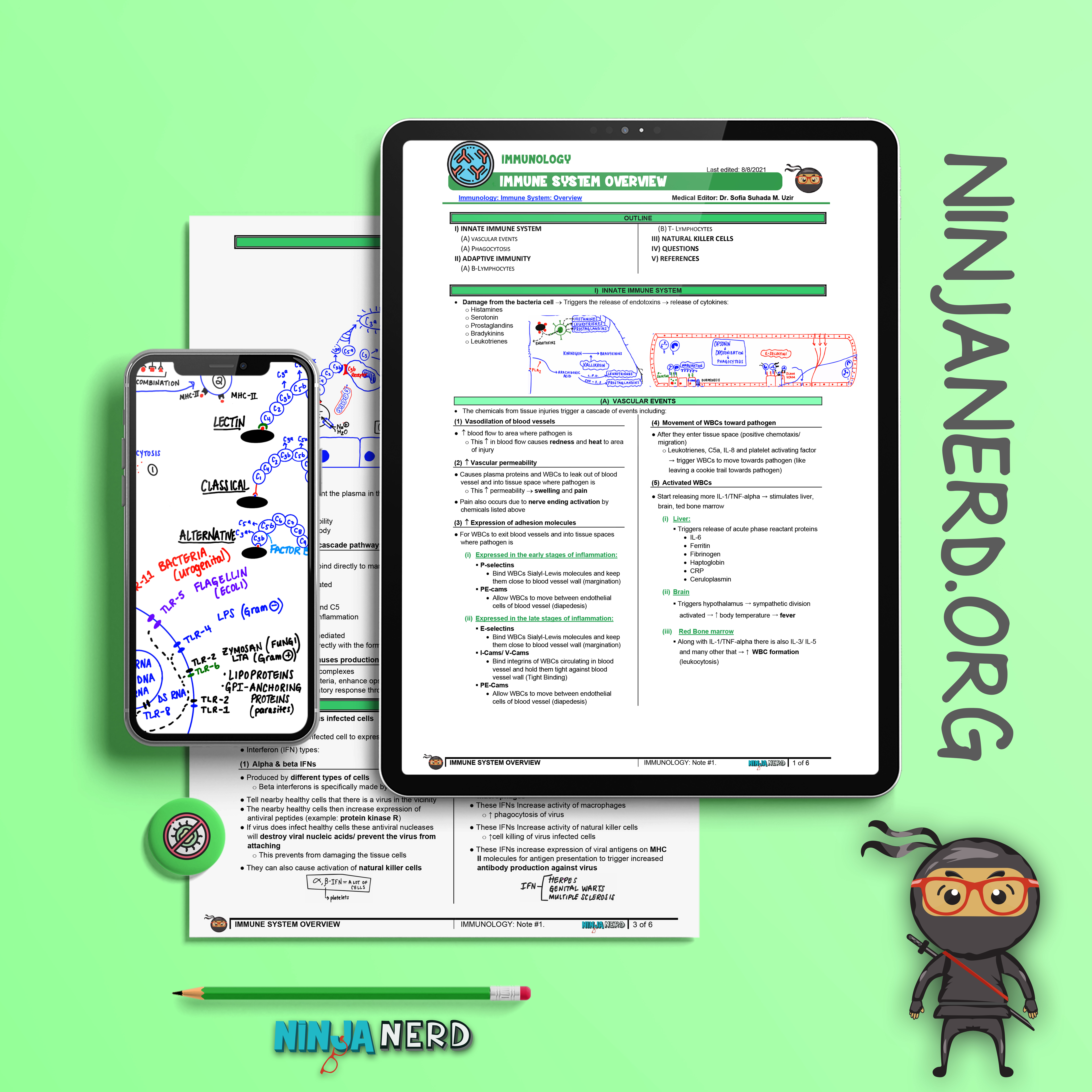 Immune System: Overview