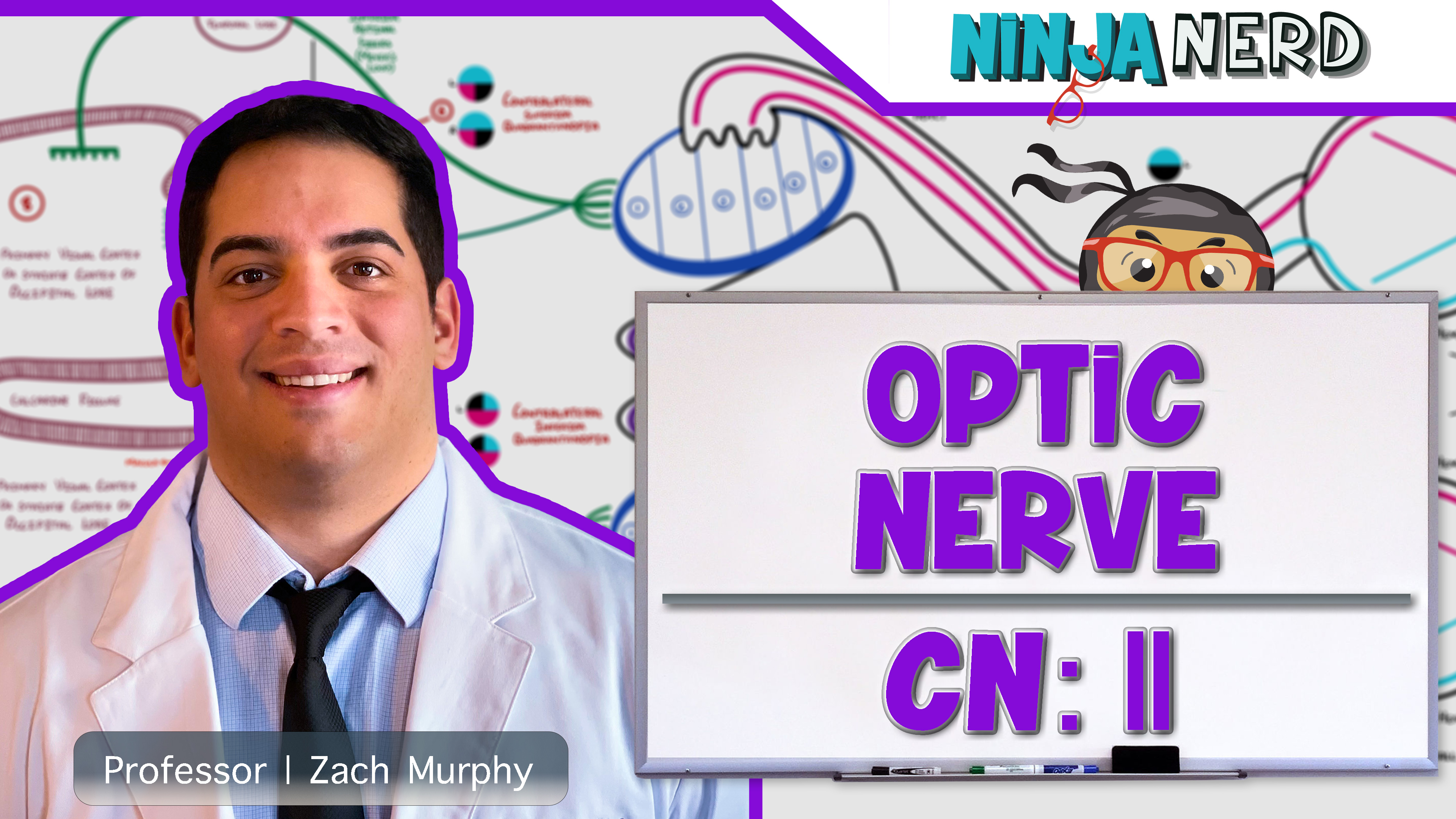 Optic Nerve | Cranial Nerve II: Visual Pathway and Lesions