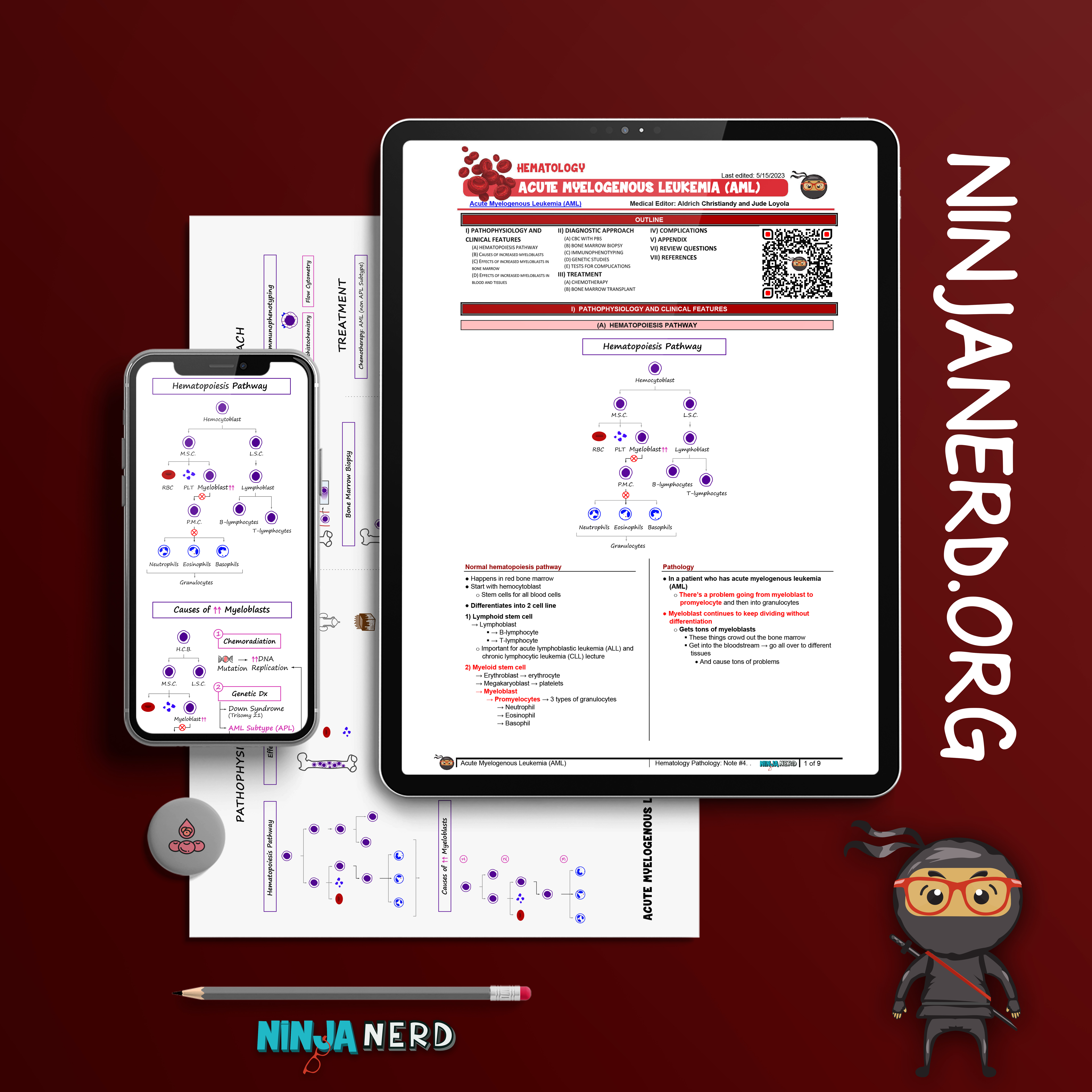 Acute Myelogenous Leukemia (AML)