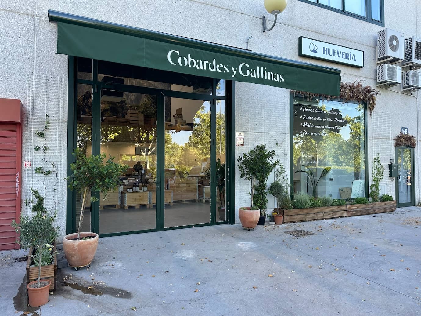 Tienda y almacén de Cobardes y Gallinas