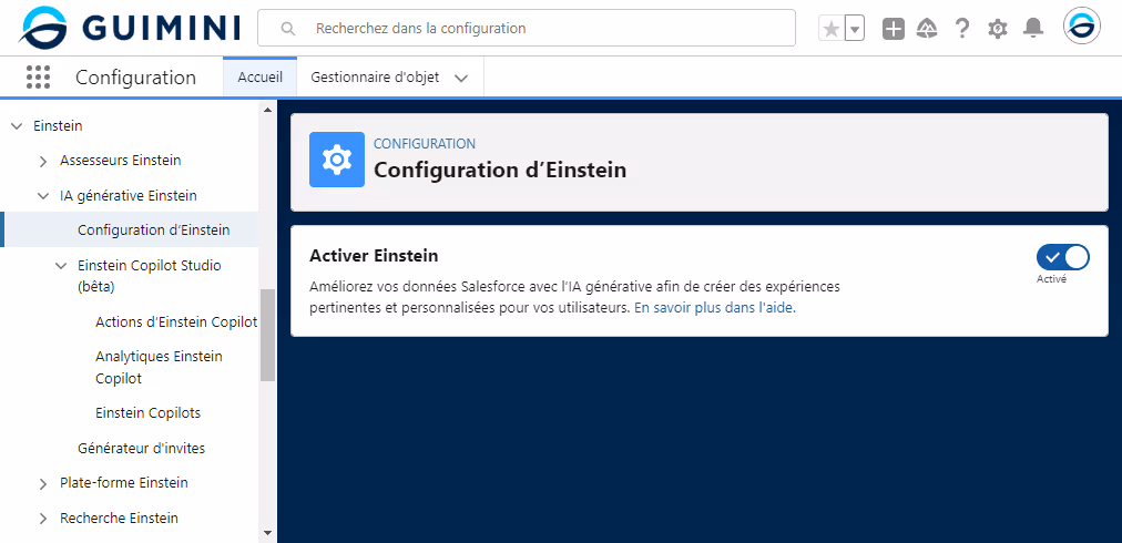 Capture d'écran de l'interface de configuration de Salesforce montrant la page de configuration d'Einstein. L'option "Activer Einstein" est activée, permettant l'utilisation de l'IA générative Einstein pour améliorer les données Salesforce.