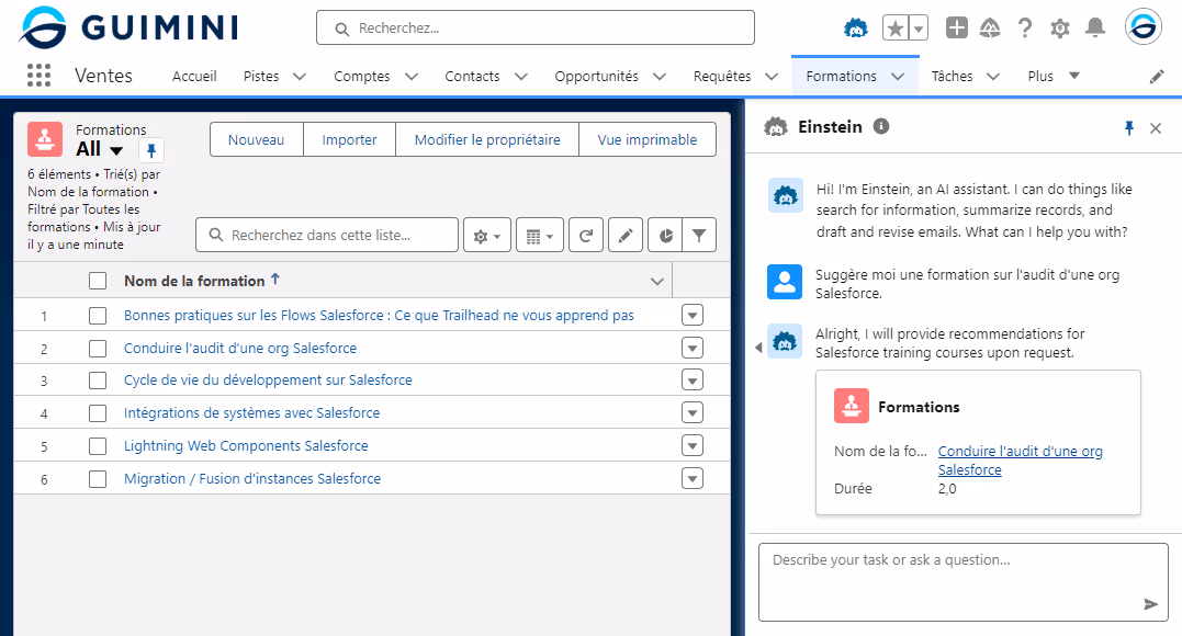 Capture d'écran de l'interface utilisateur de "GUIMINI" affichant une liste de modules de formation Salesforce. L'interface inclut des onglets de navigation tels que 'Ventes', 'Accueil' et 'Comptes', parmi d'autres. Un assistant de chat nommé 'Einstein' est également visible, proposant son aide pour la rédaction et la révision d'emails, ainsi que pour la recherche d'informations.