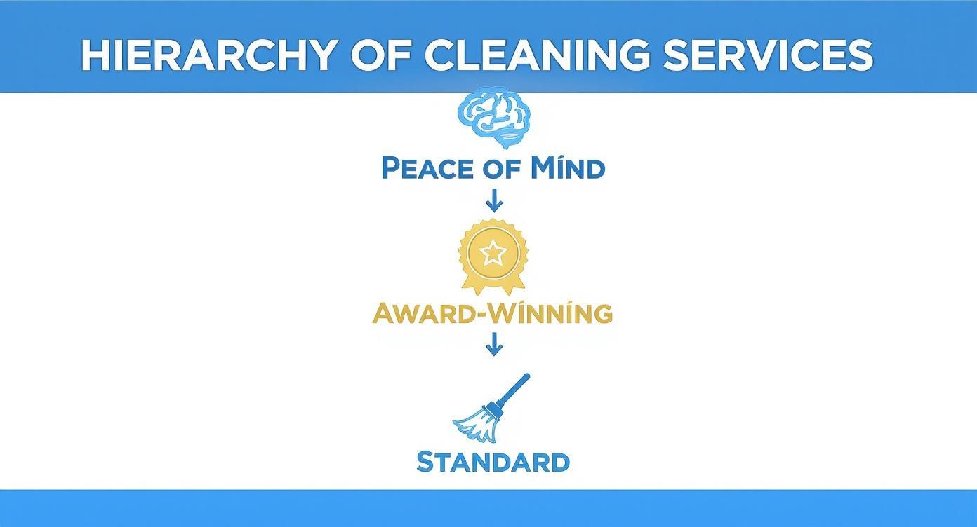 Infographic about cleaning services in vaughan ontario