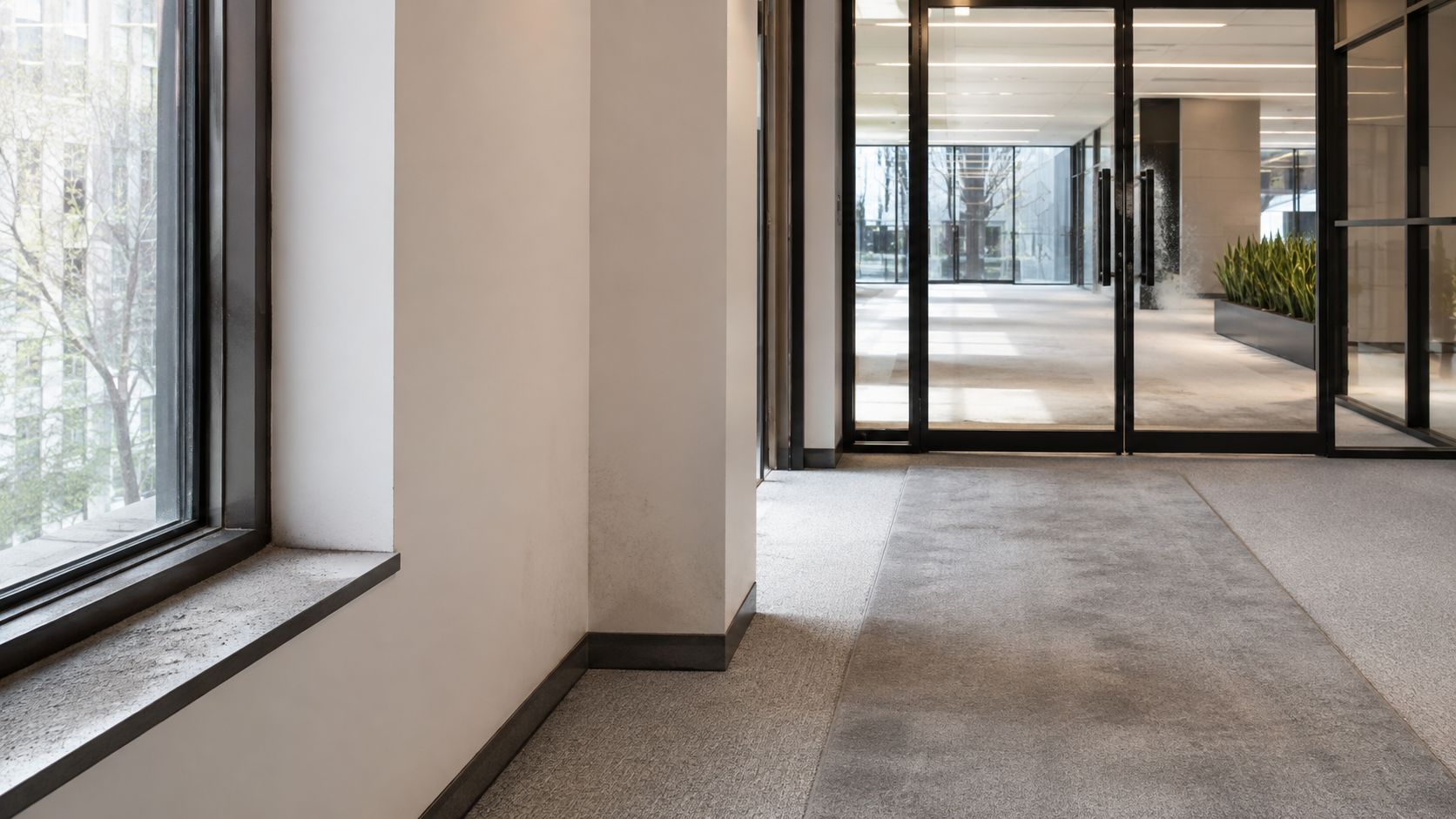 A brightly lit, modern office corridor with large windows, glass doors, and a grey carpeted walkway.
