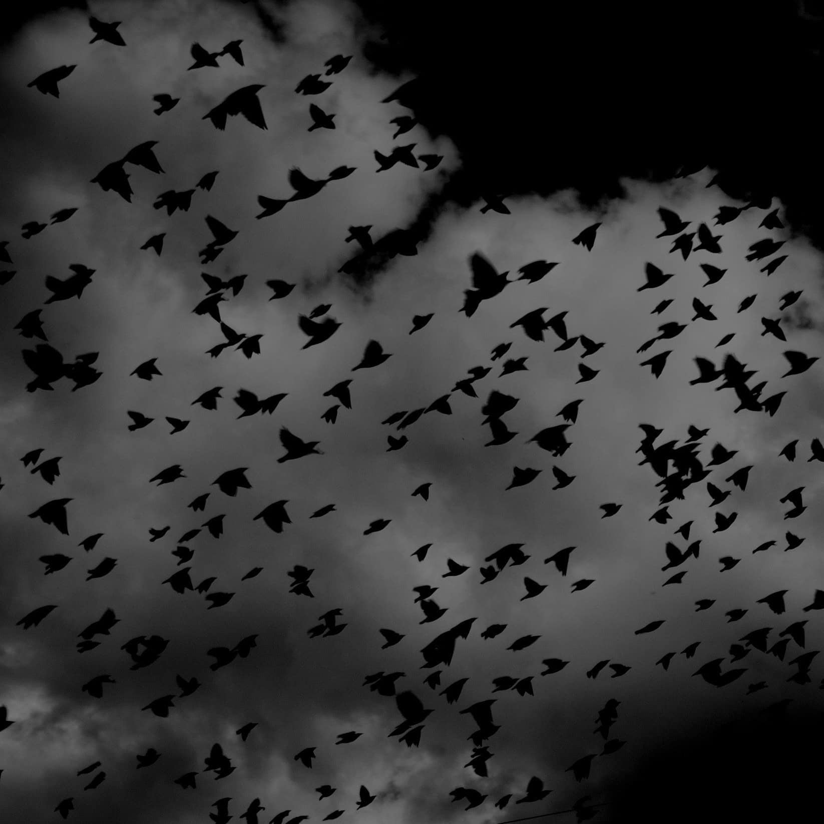 Marketing Nightmares & How to Avoid Them