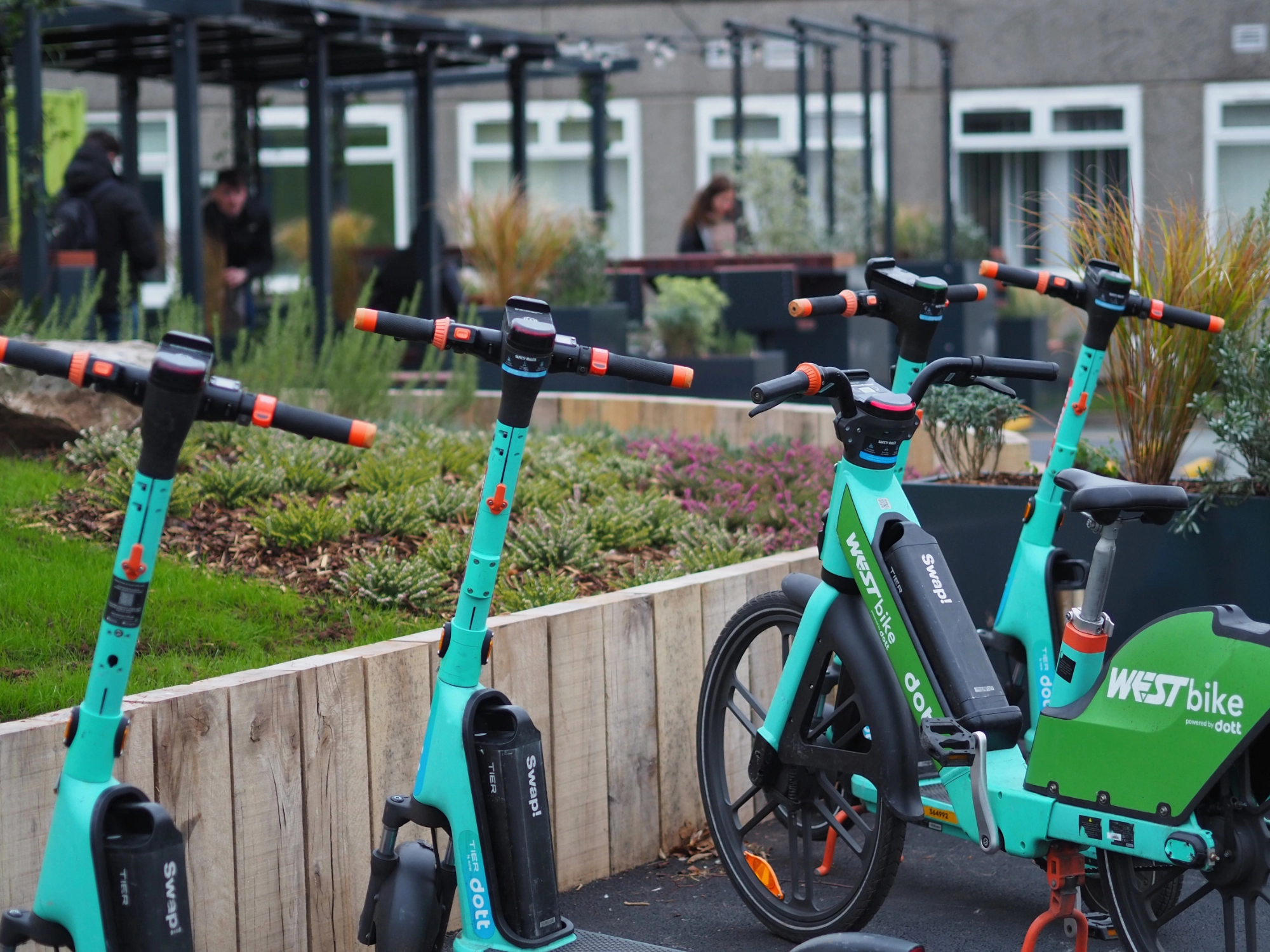 Shared e-scooters parked at a mobility hub