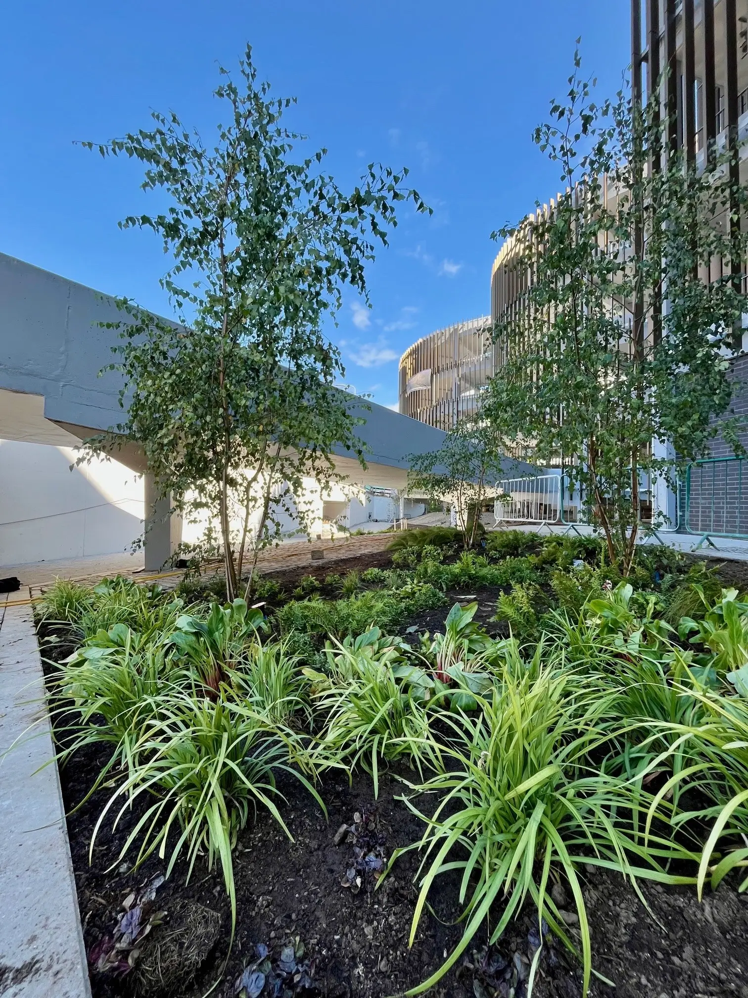 Green space around the hub with raised beds