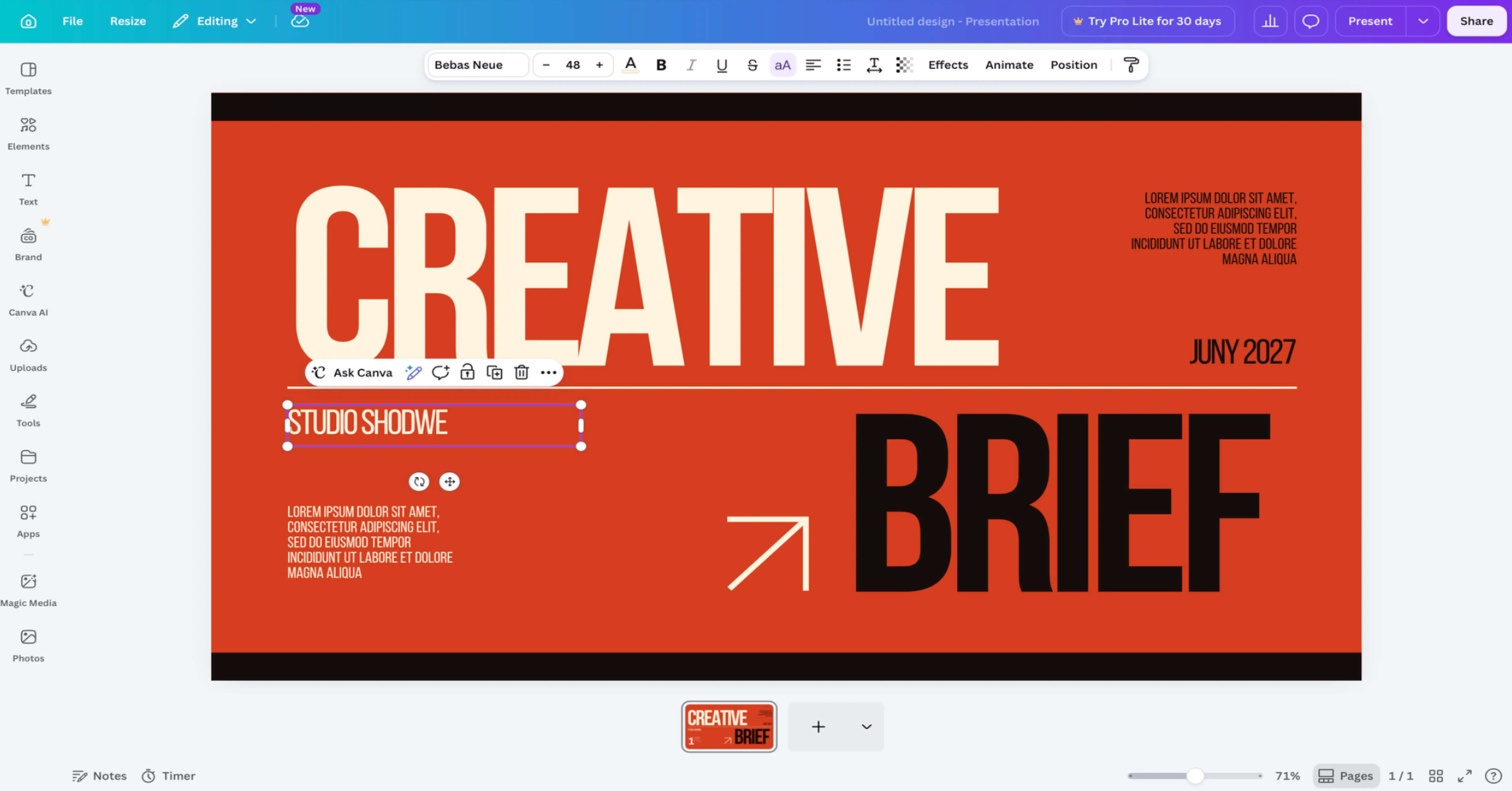 What Is Canva Used For