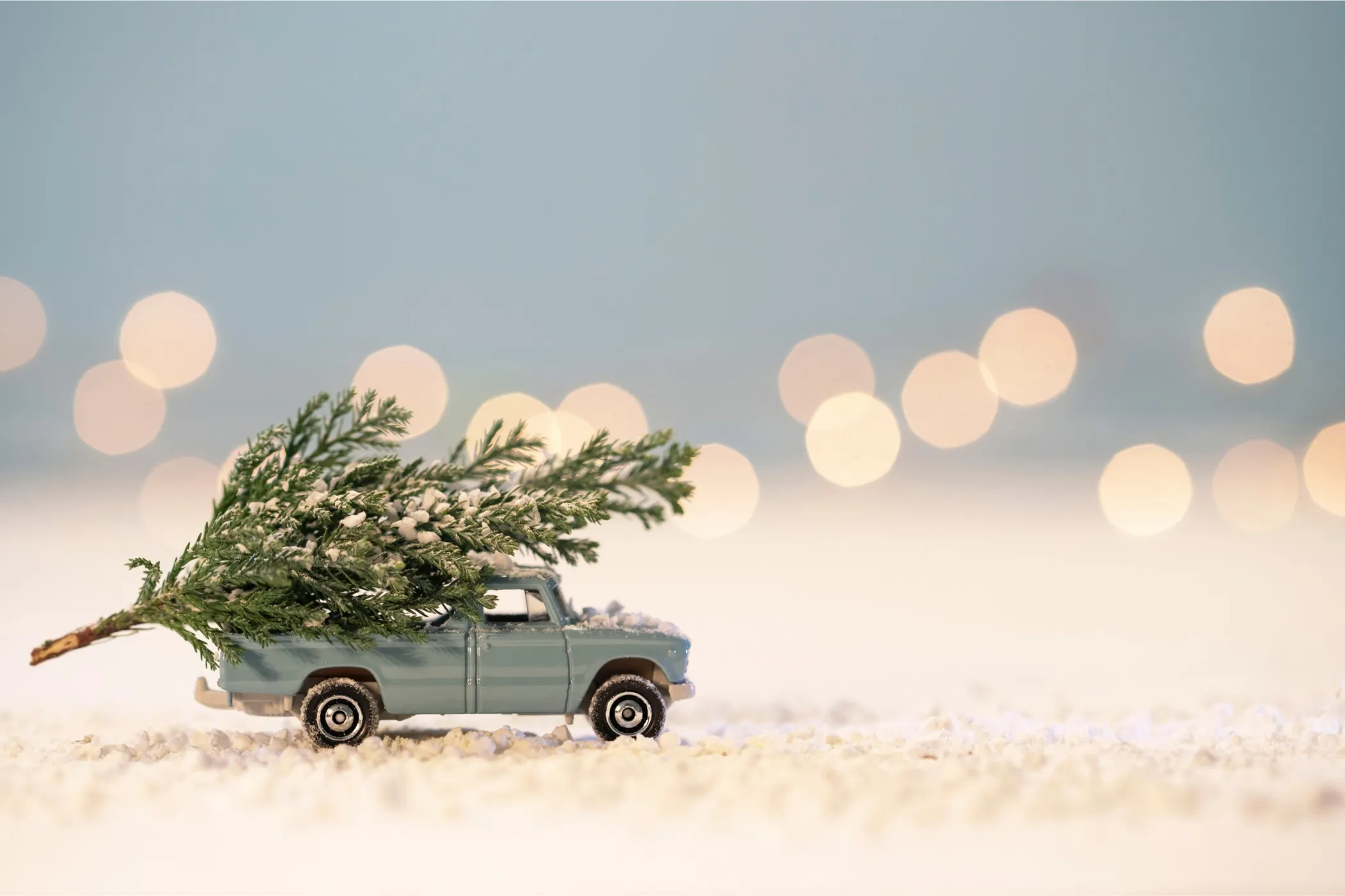 5 astuces pour payer son sapin de Noël moins cher