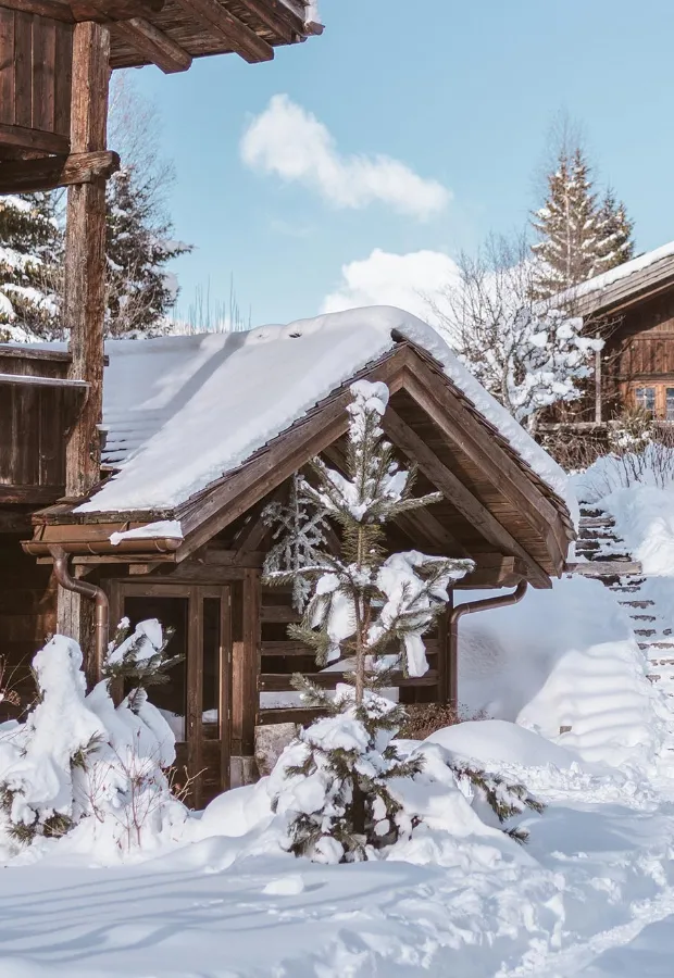 Snow-covered wooden cabin surrounded by snow-laden pine trees and steps in a winter landscape under a clear blue sky.
