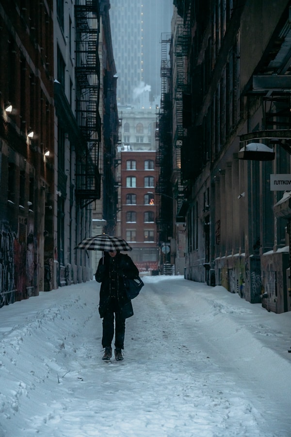 Person with umbrella walks down a snowy alley.