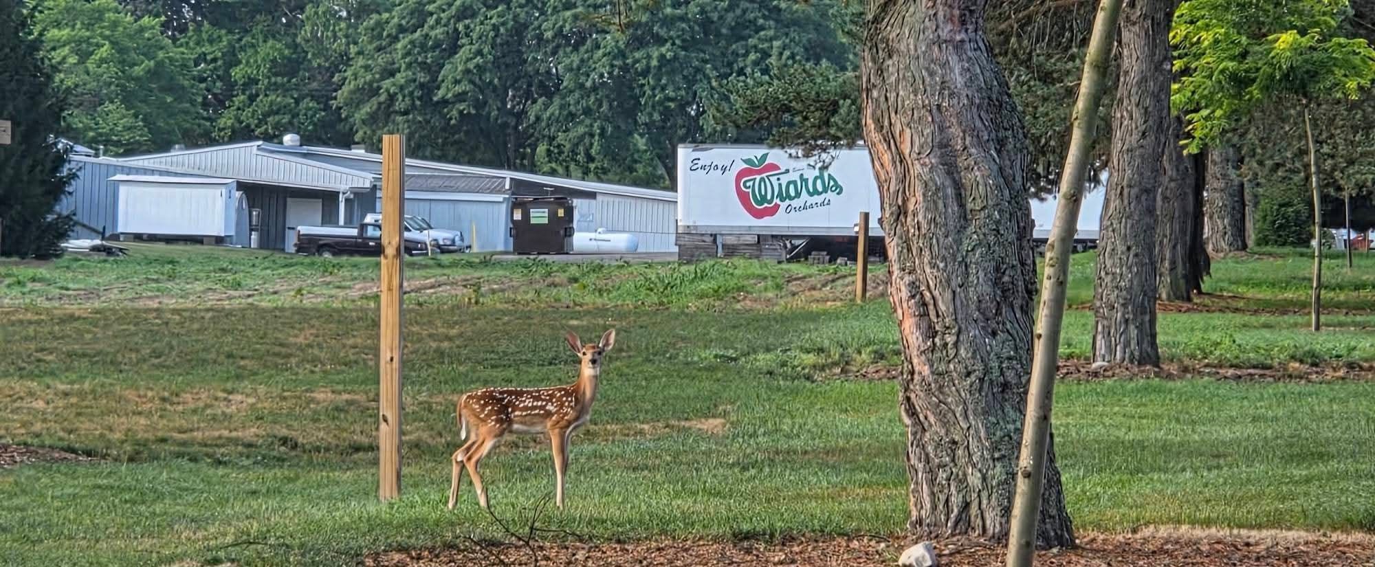 Wiard's Orchard - Wiard's Orchards
