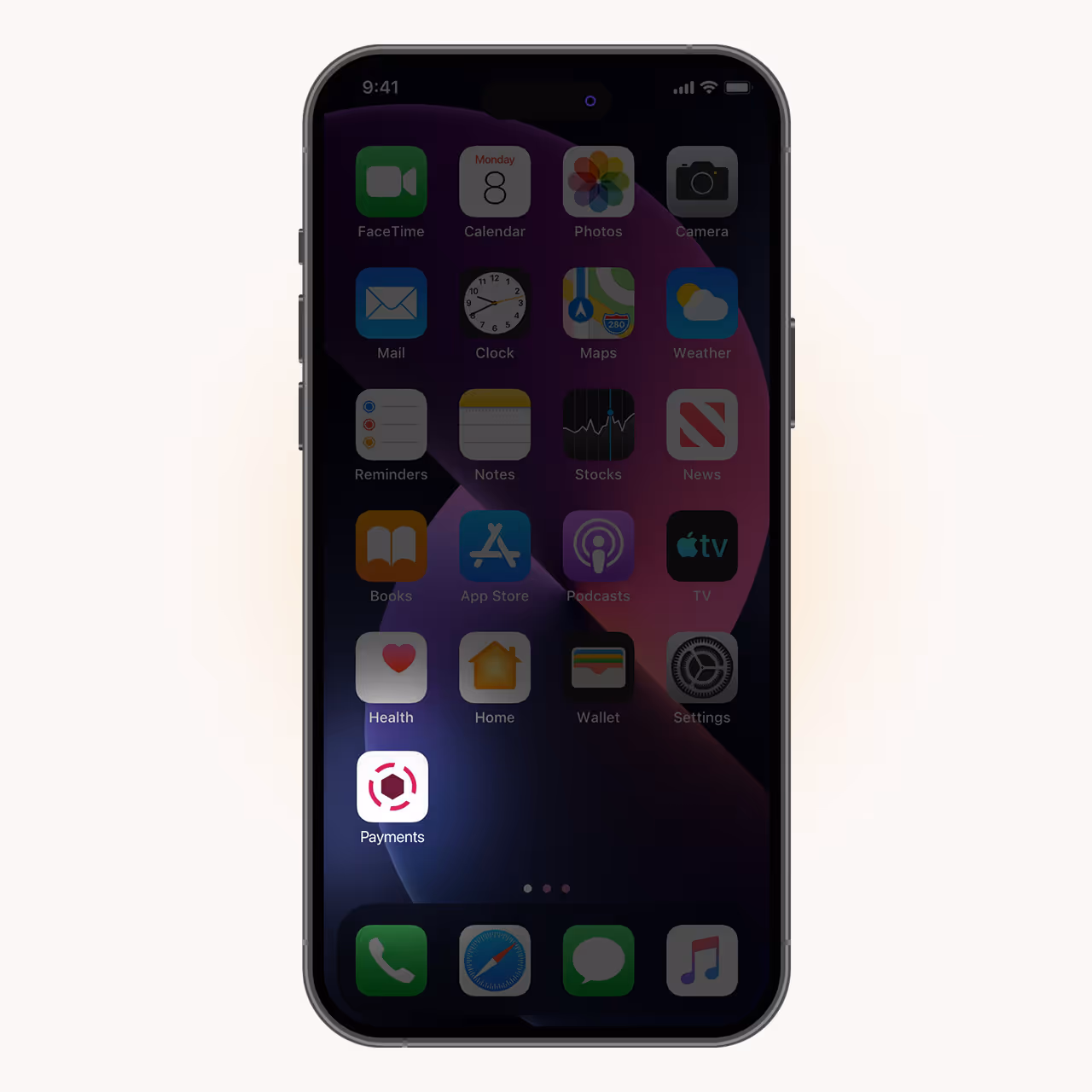 iPhone home screen showing standard Apple apps with a custom highlighted Payments app icon.