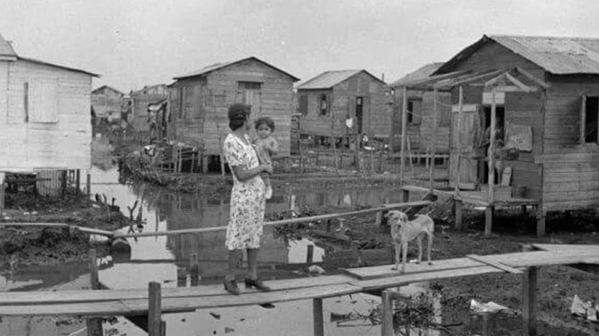 Mensaje de nuestra Presidenta en la Convención Anual: 75 años construyendo a Puerto Rico