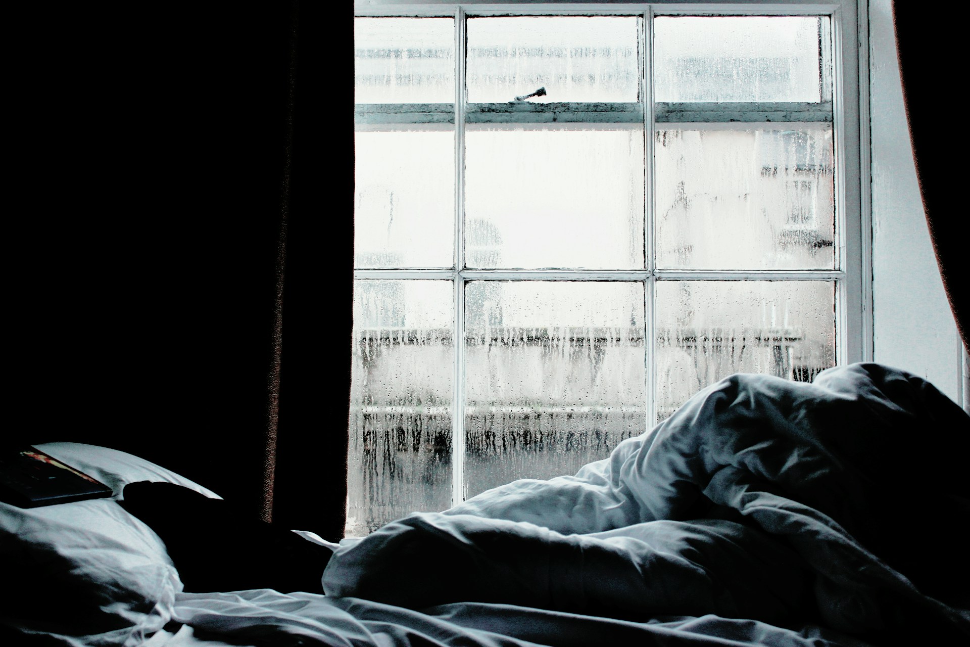 Mold prevention strategy: how indoor climate impacts property damage and guests