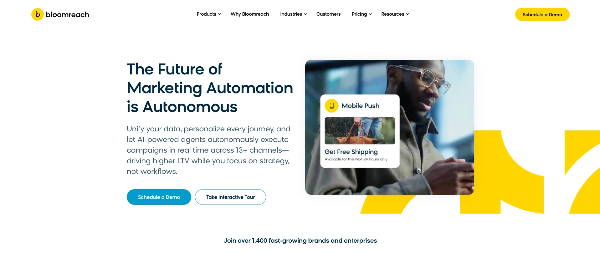 AI automation in ecommerce bloomreach