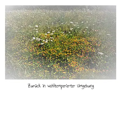 In aller Stille – Werk von Michael Franck