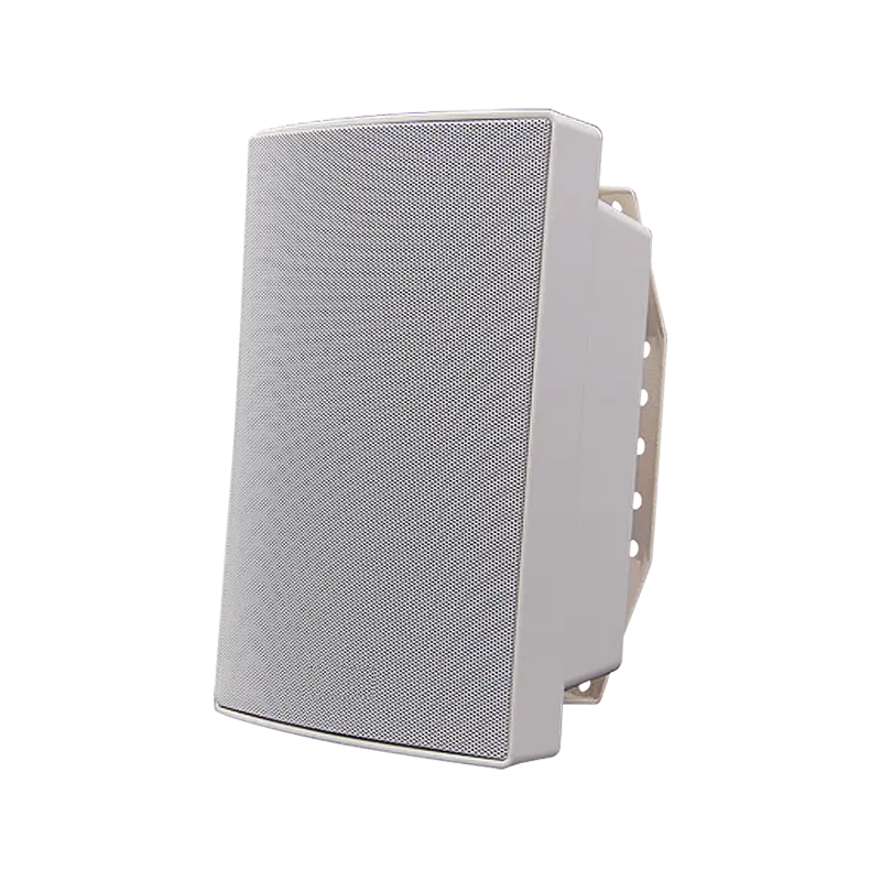 Sunell SN-PA1W01-15 Network Wall Speaker