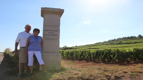 Tourists visiting Montrachet vineyard