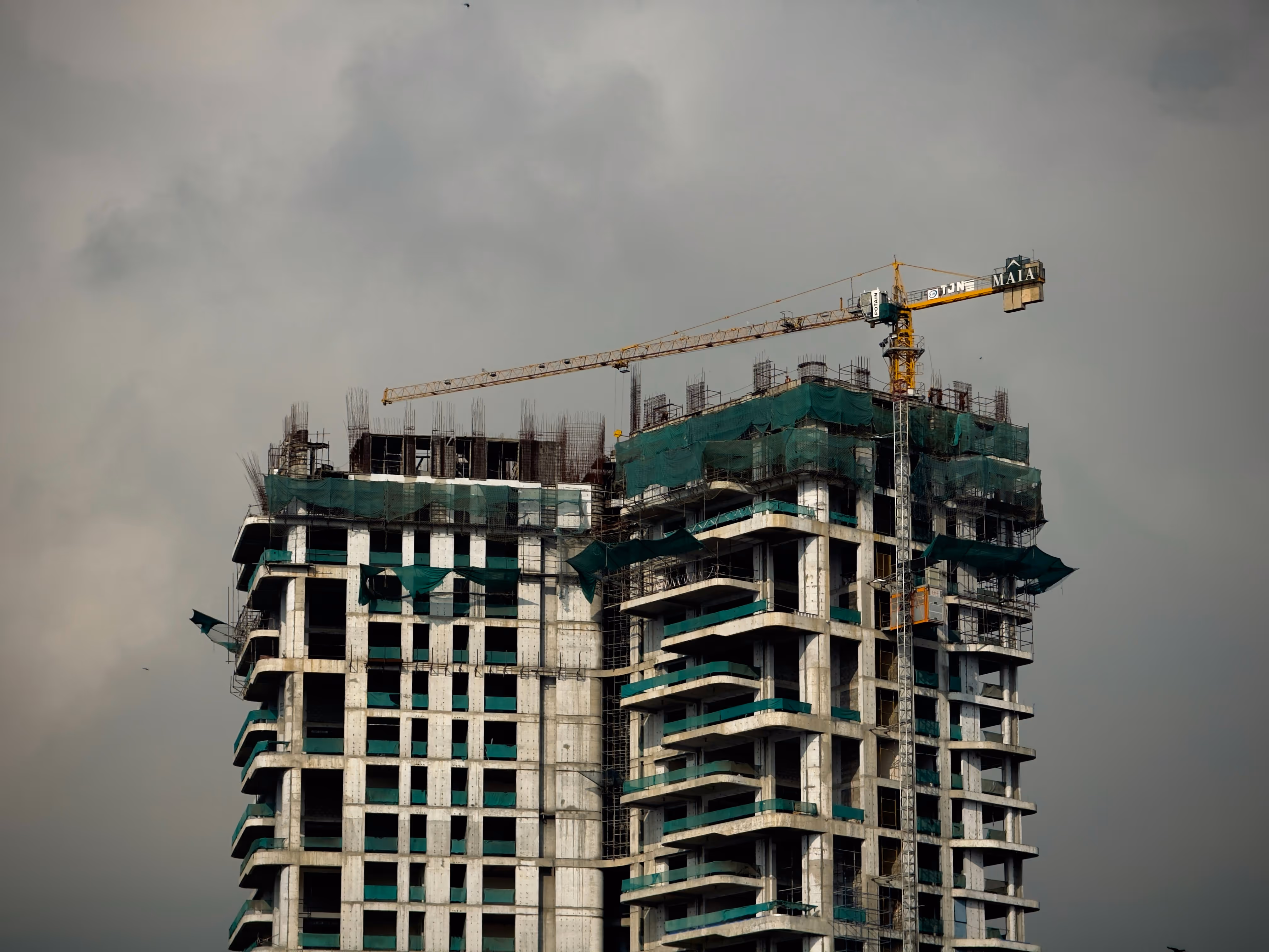 Pre-construction Environmental Services 