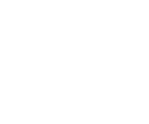 i insurance logo 