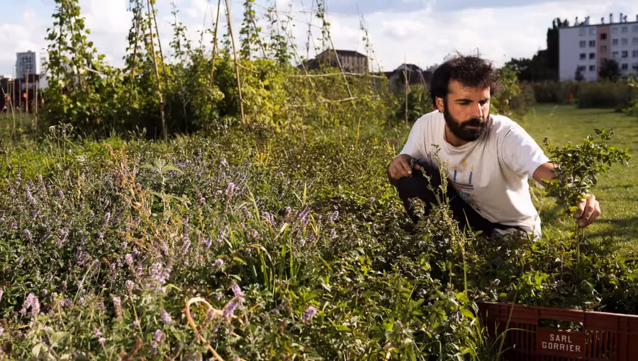 photo de l'artiste résident