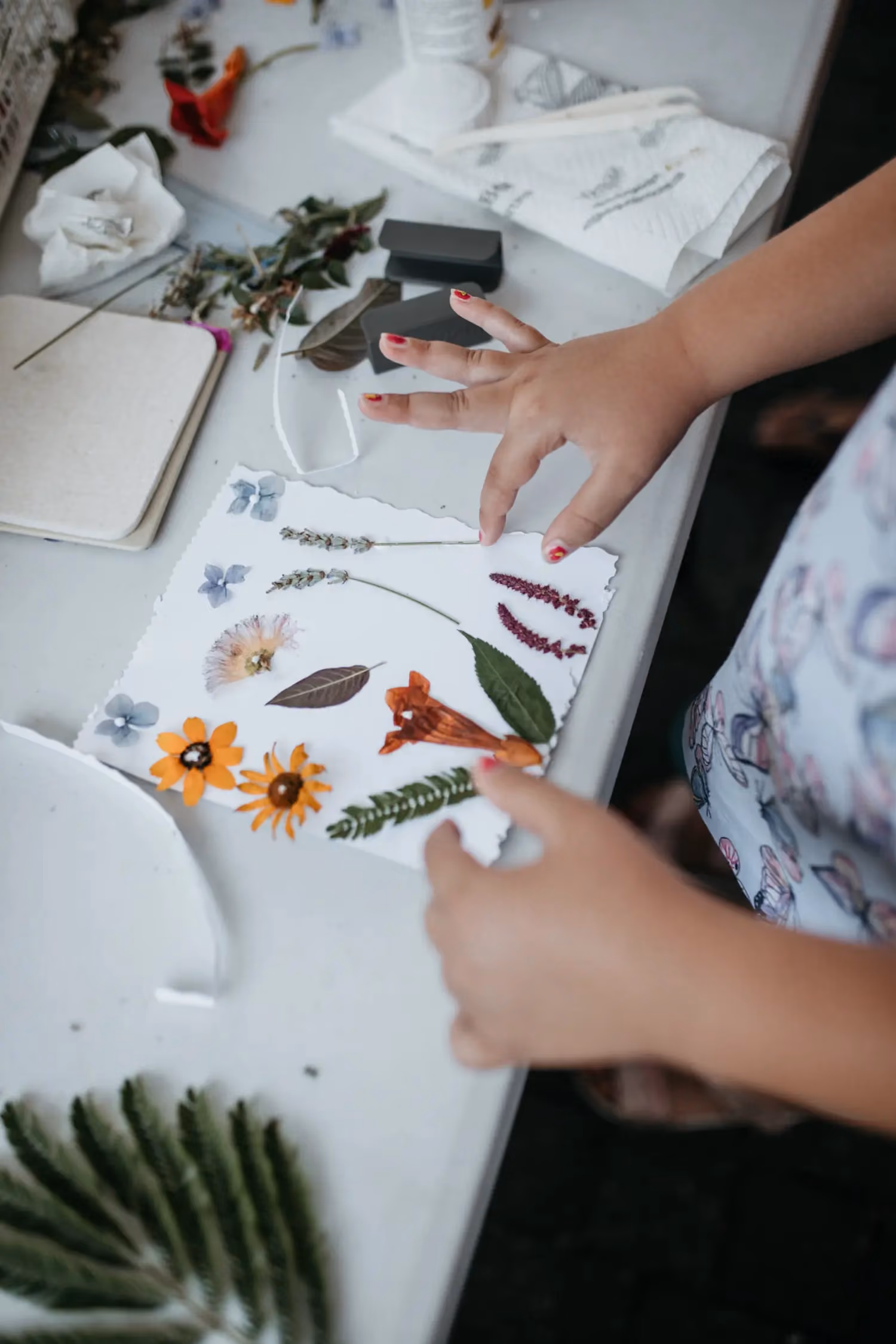 Atelier "Empreintes botaniques de la Méditerranée"