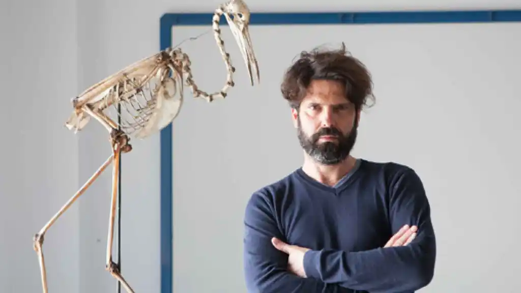 El Mensaje, Juan del Junco (2016)