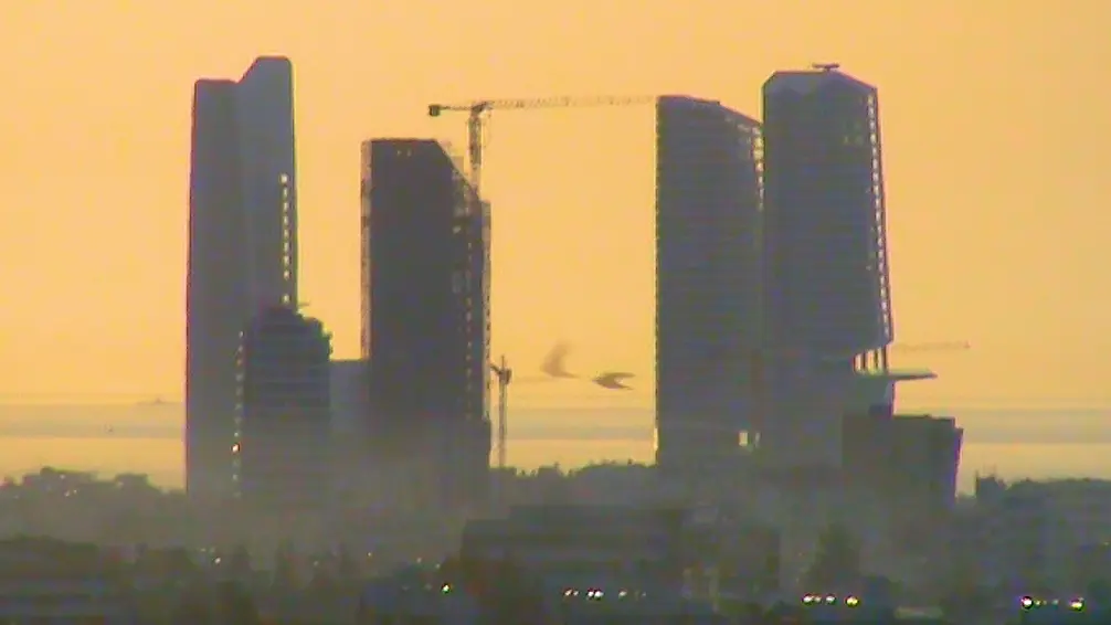 In the Shadow of the Towers