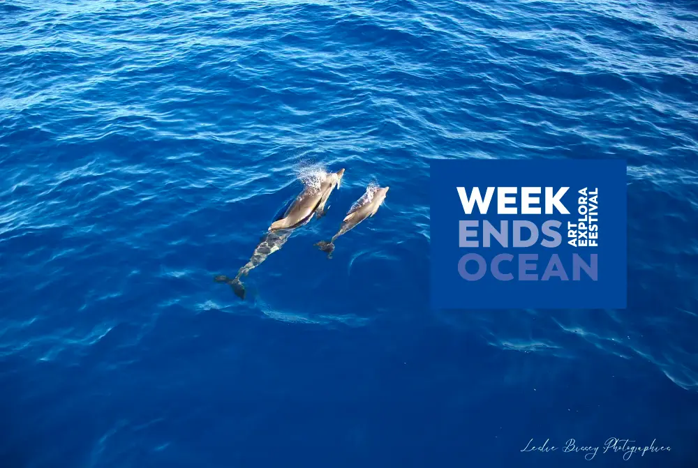 Marseille Ocean Weekend