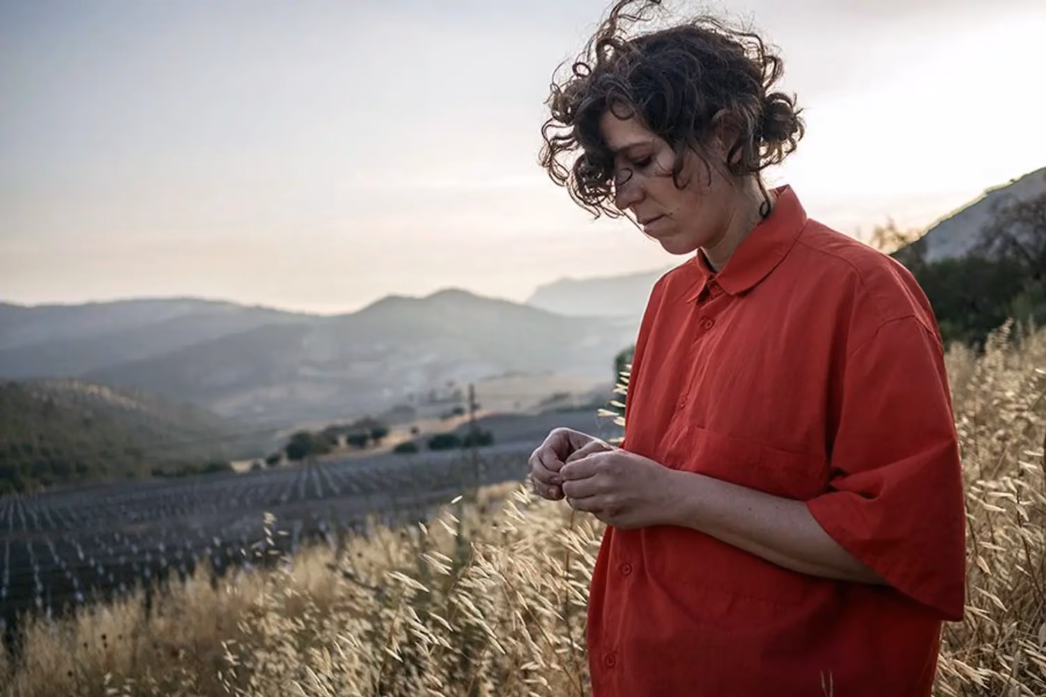 Violeta Niebla et Angelo Nestore. Une anthologie vivante de la mer