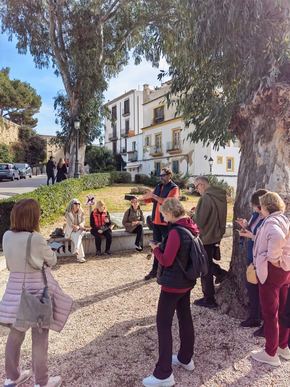 IBIZA CINEMA GUIDE/DALT VILA 