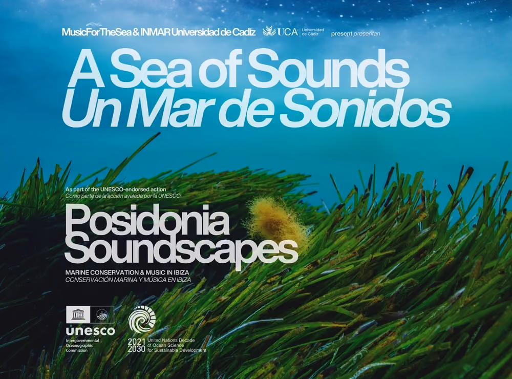A Sea of Sounds 