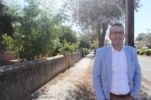 Mr Piccolo standing in the Gawler South Character area.