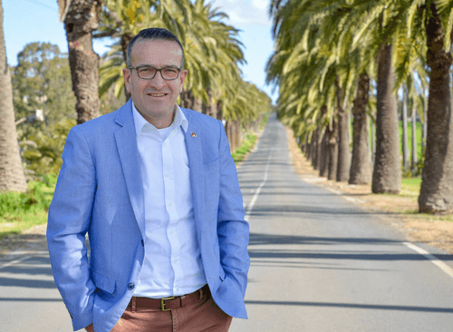 Tony Piccolo in Seppeltsfield.