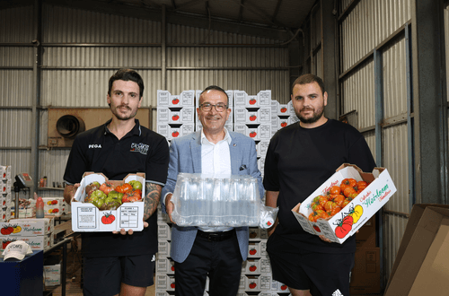 Tony Piccolo MP with (left) local tomato growers Paul Cafcakis and Jack Cafcakis. Mr Piccolo is getting ready for “passata“ making season and urging consumers to buy up big this year when they visit their local fruit and vegetable shop.