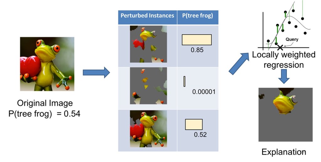  Explaining a prediction with LIME